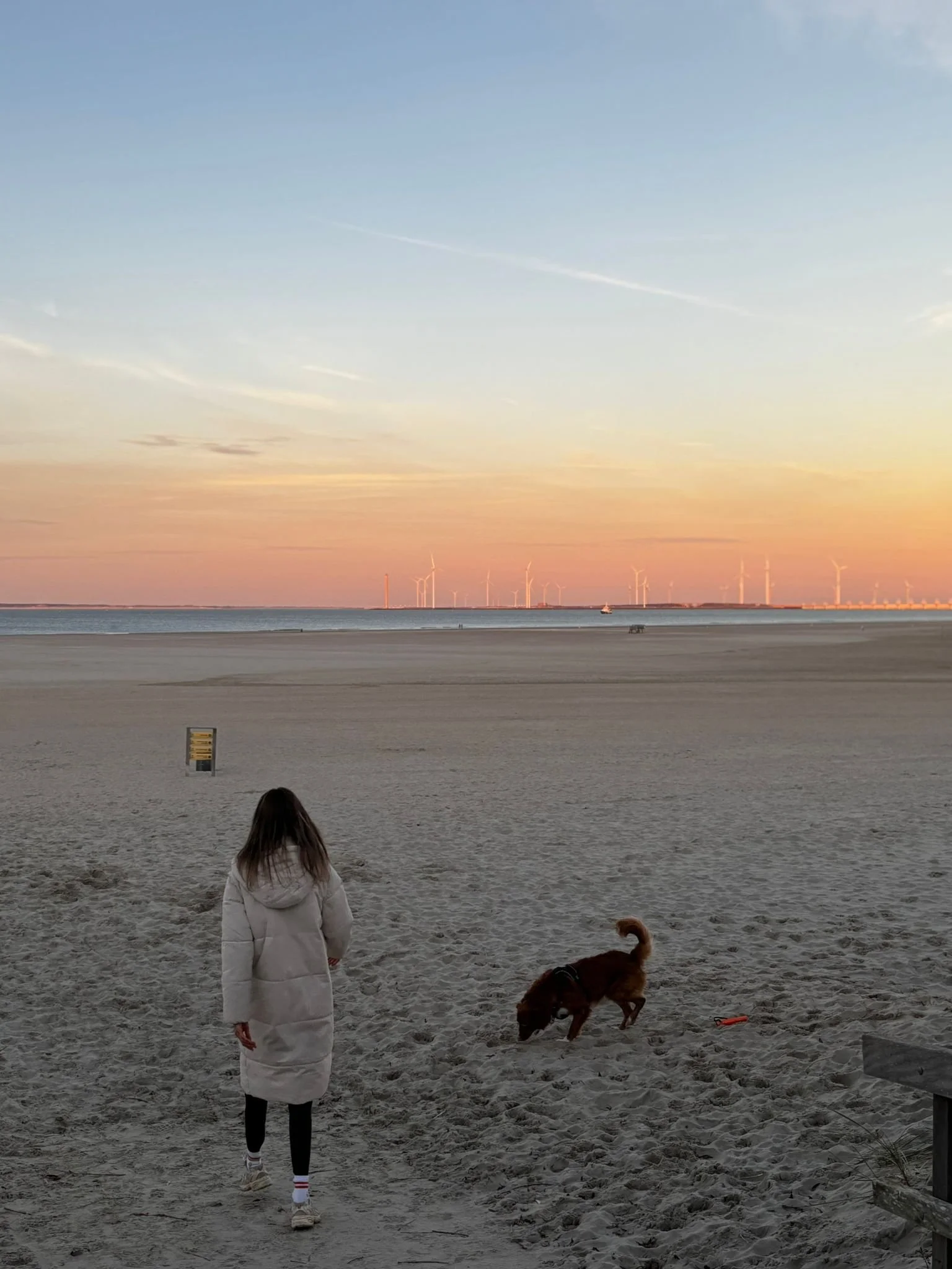 WhatsApp Image 2026-02-23 at 09.27.184.jpeg