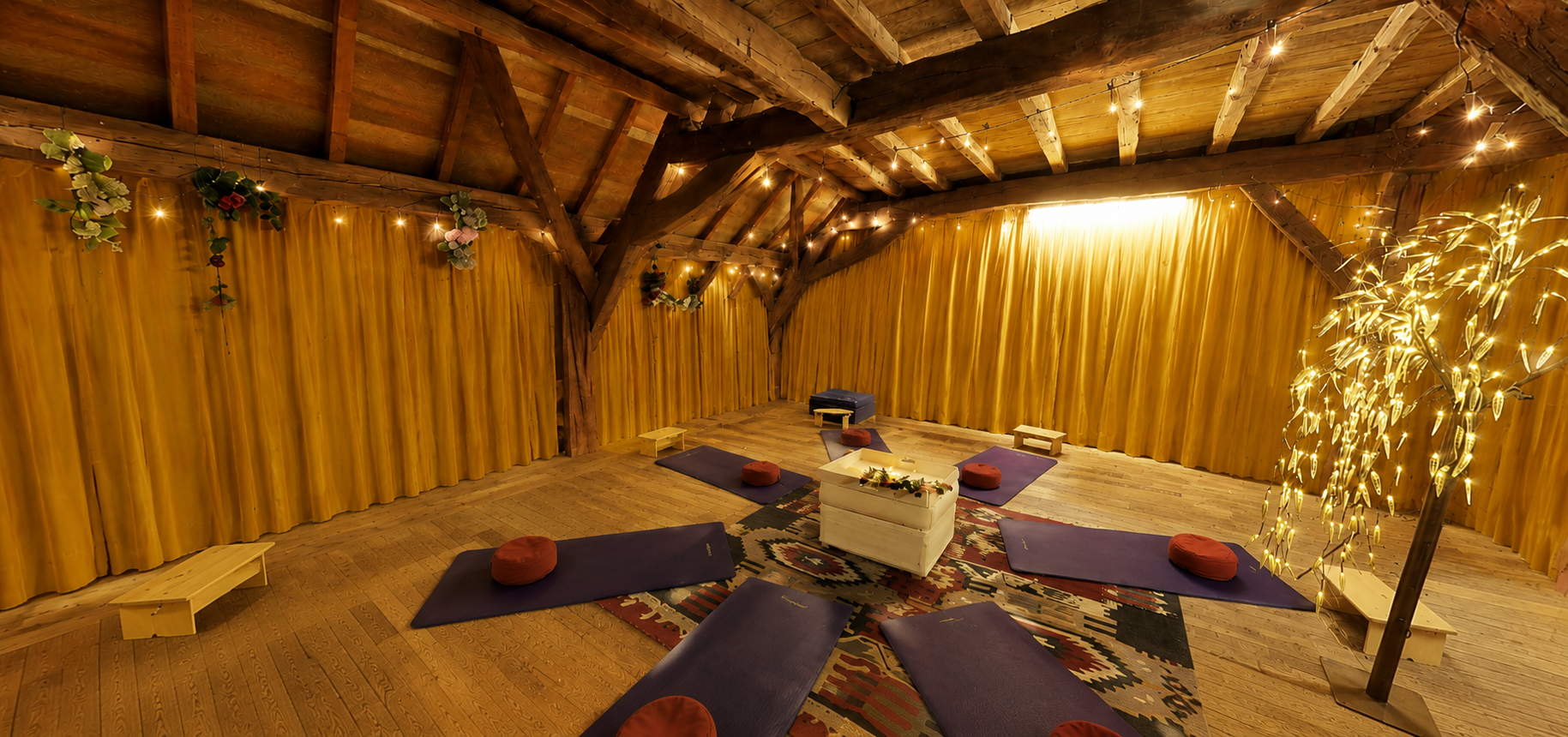 Lotus room Recovery House Limburg_ISA Power.png