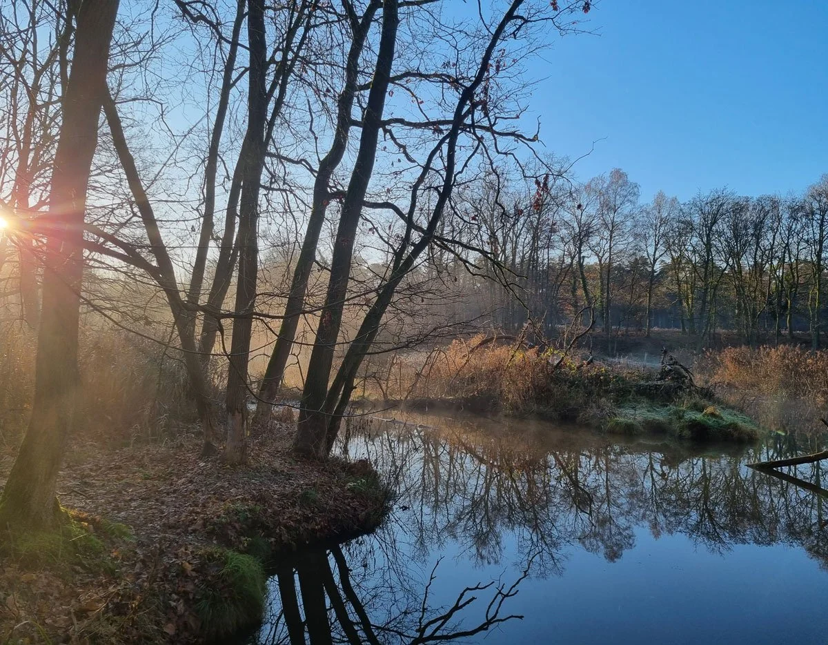 leubeek-zon-stilte-wandeling-web.jpg