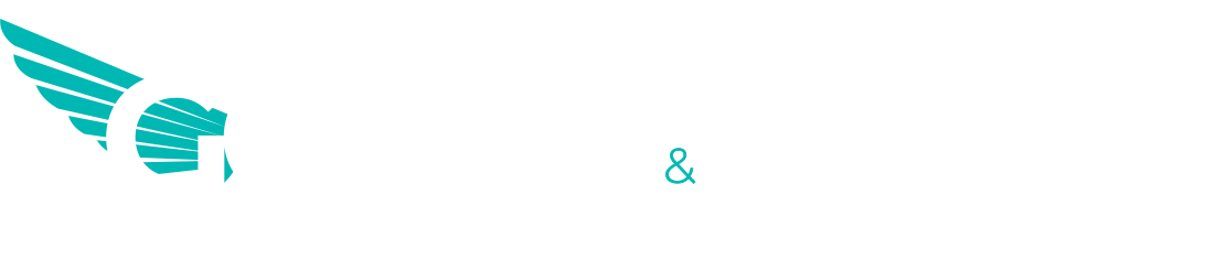 GLOBAL ELECTRICS &amp; SECURITY GROUP