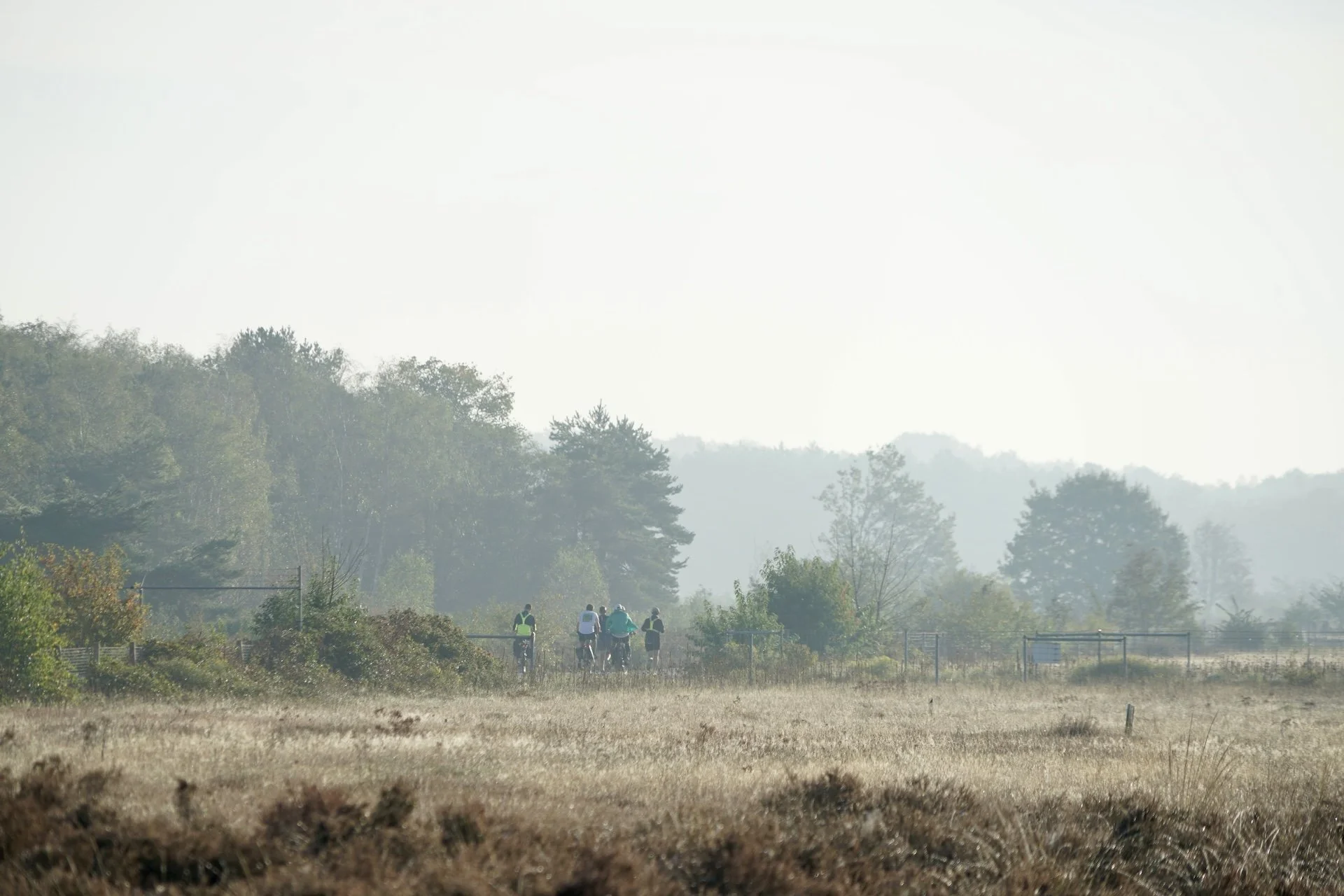 DSG Ultrarun 2026 DSC09358-LR.jpg
