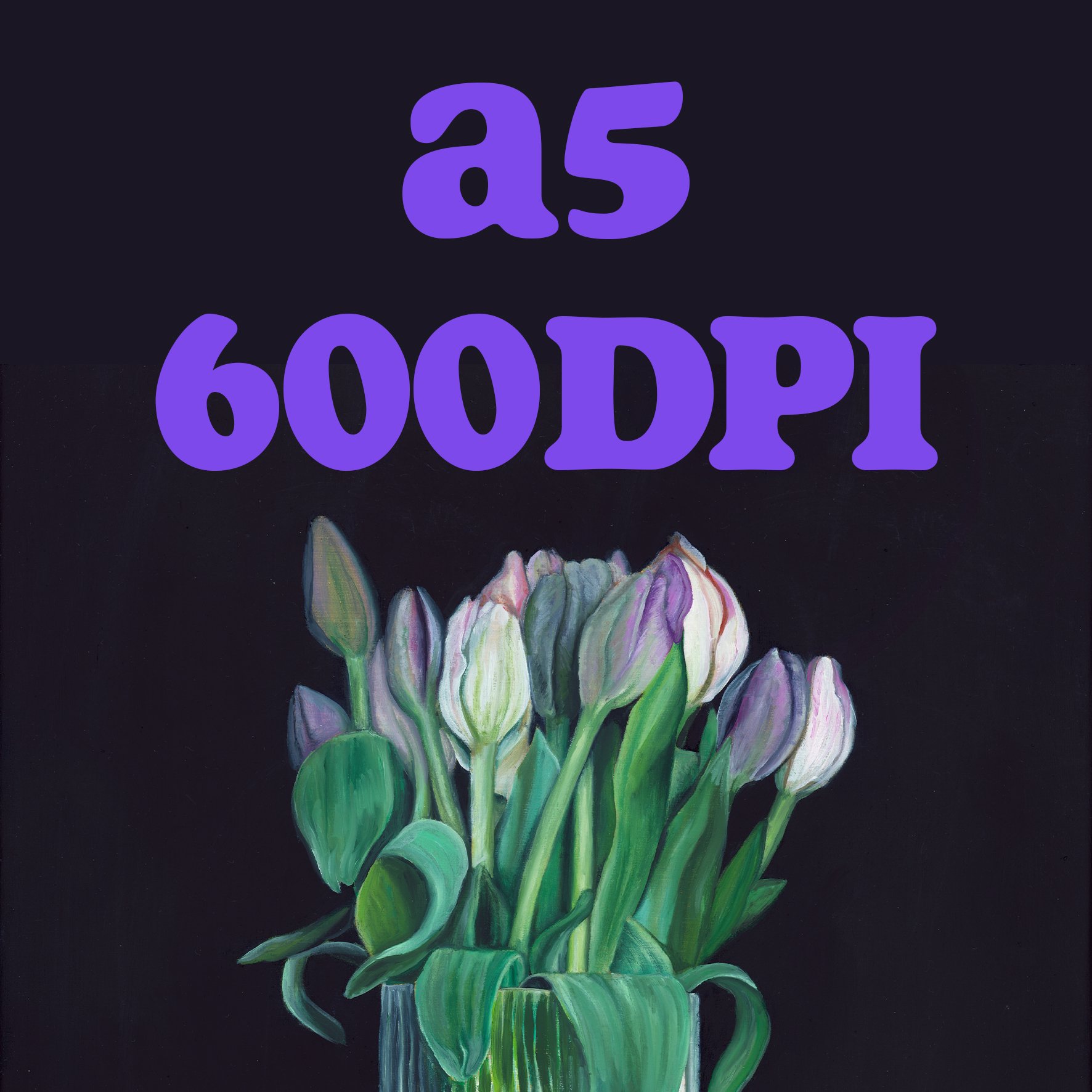 a56.jpg