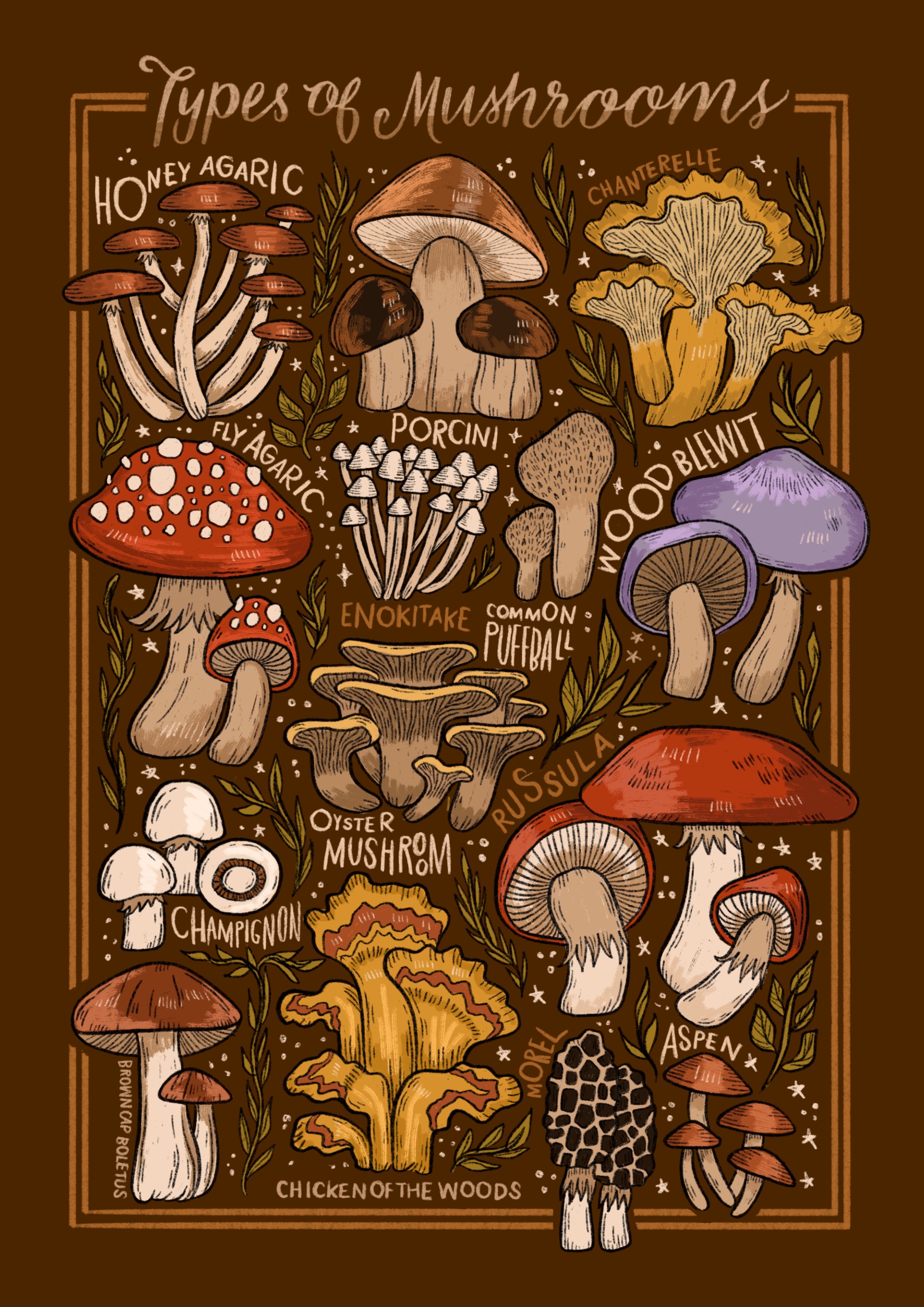 Mushrooms.jpeg