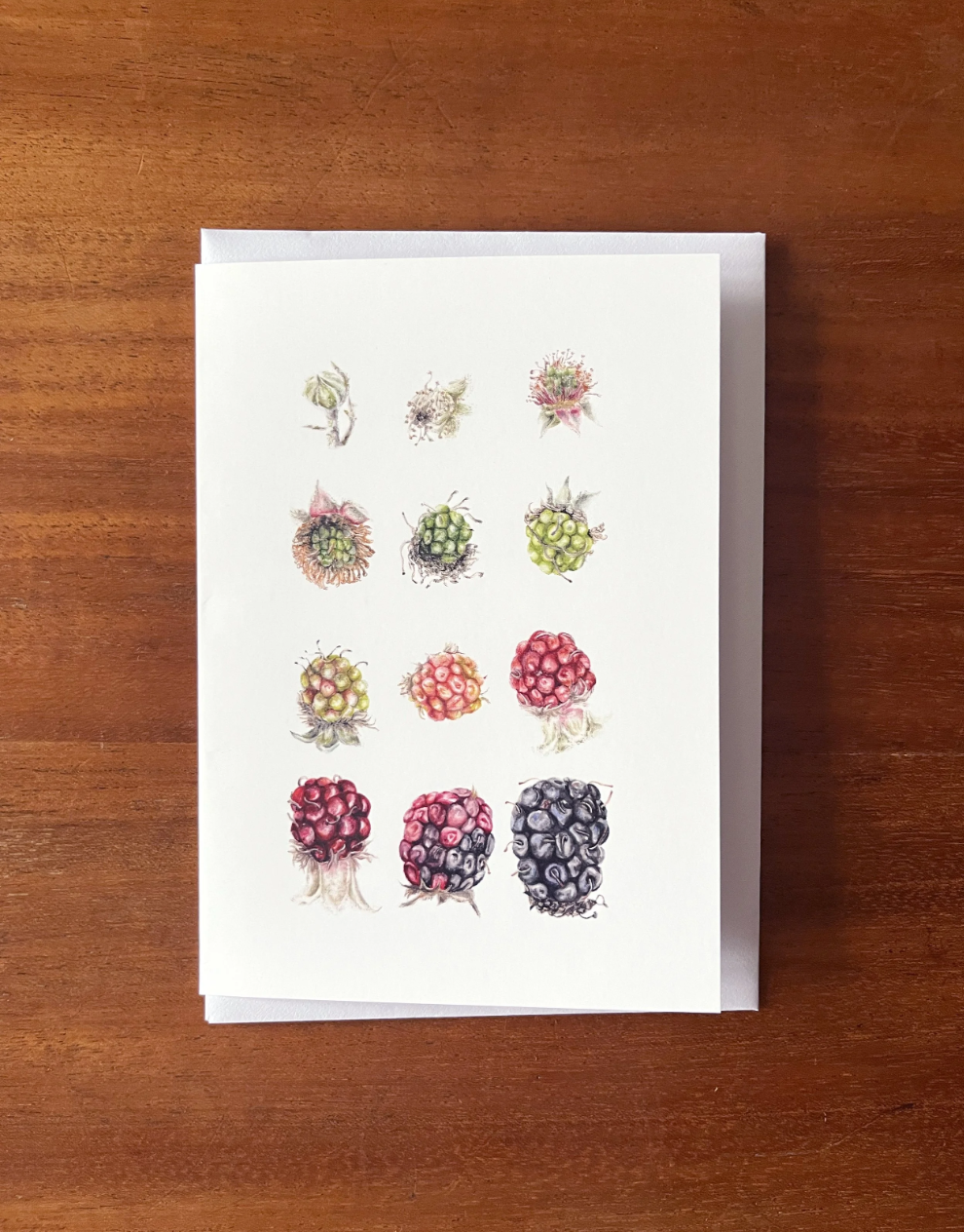 Screenshot 2025-11-05 at 17.00.09.png