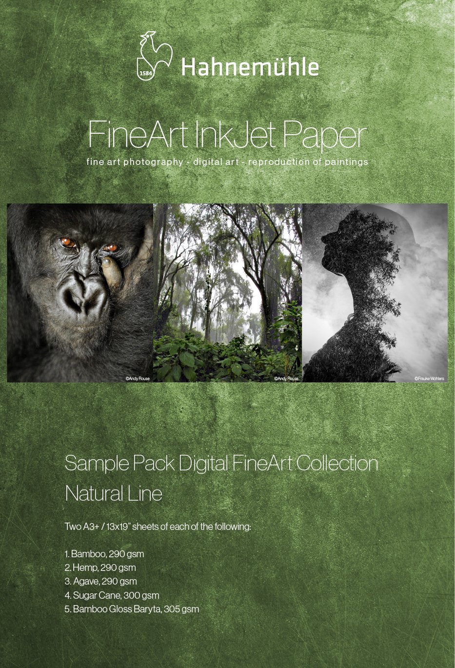 10640379-sample-pack-natural-linea3+.jpeg