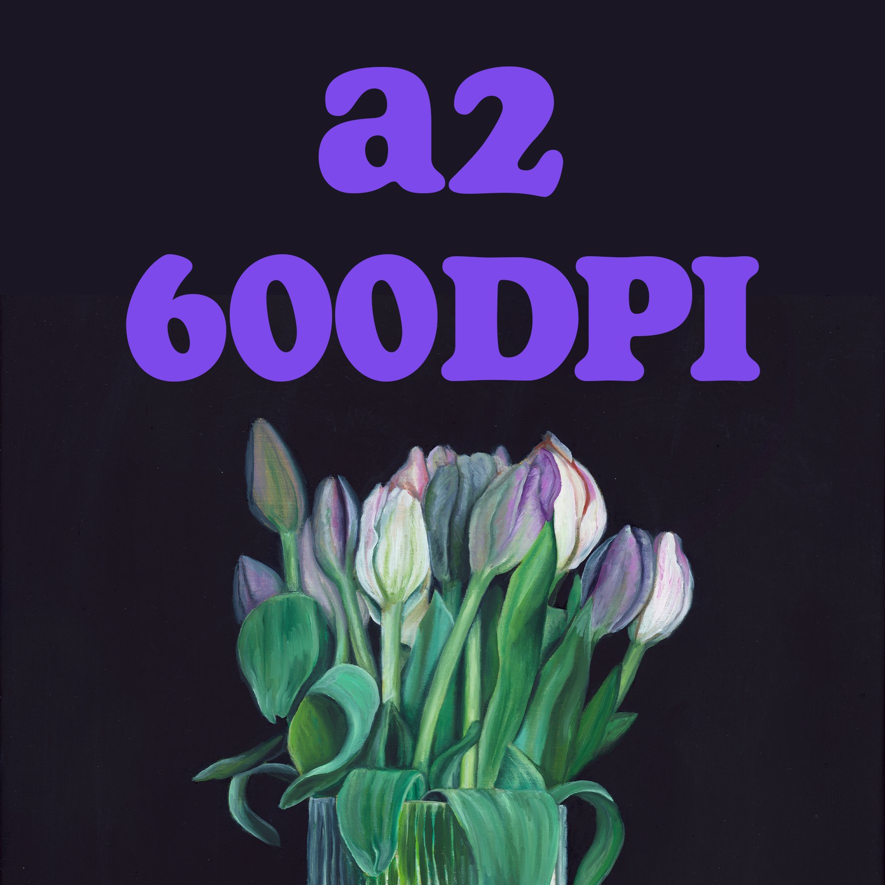 a26.jpg