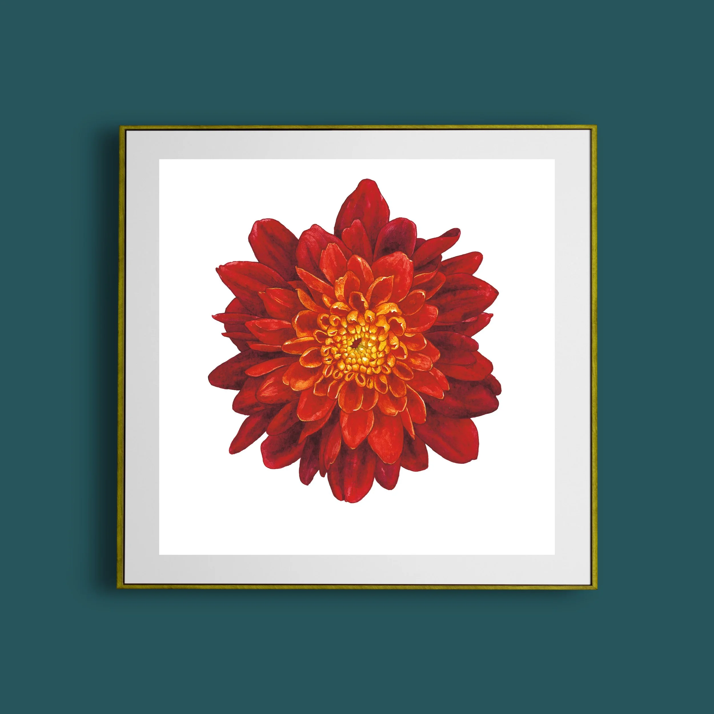 Chrysanthemum mock.jpg