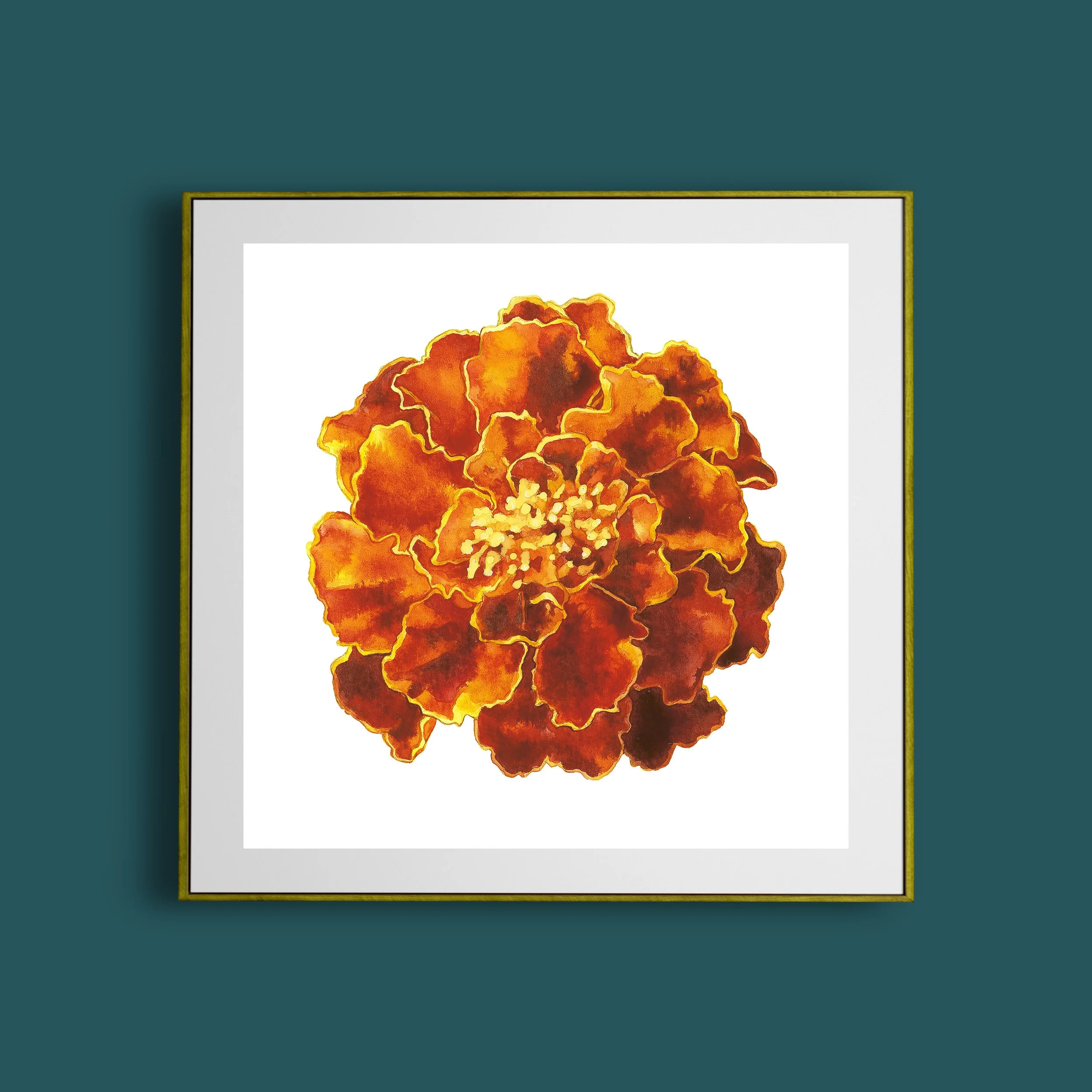 Marigold