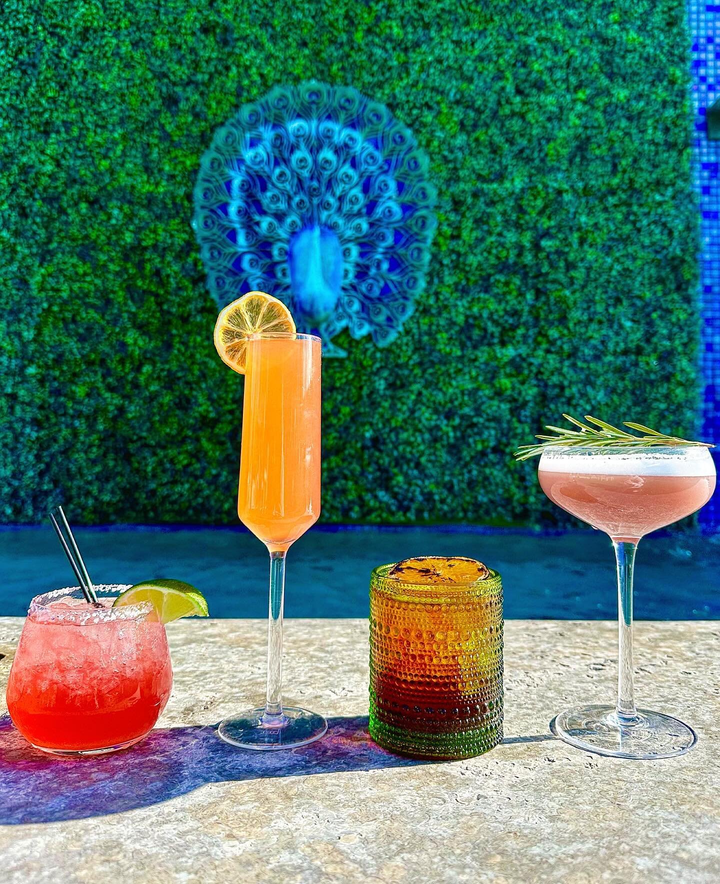 Our Peacock Eras Tour Menu is here to celebrate Taylor Swift&rsquo;s new album, and we&rsquo;ve got the most festive cocktails waiting for you! 🍹Dress in your T. swift attire and join us starting at 11am for a full day of sun, shimmer, and incredibl