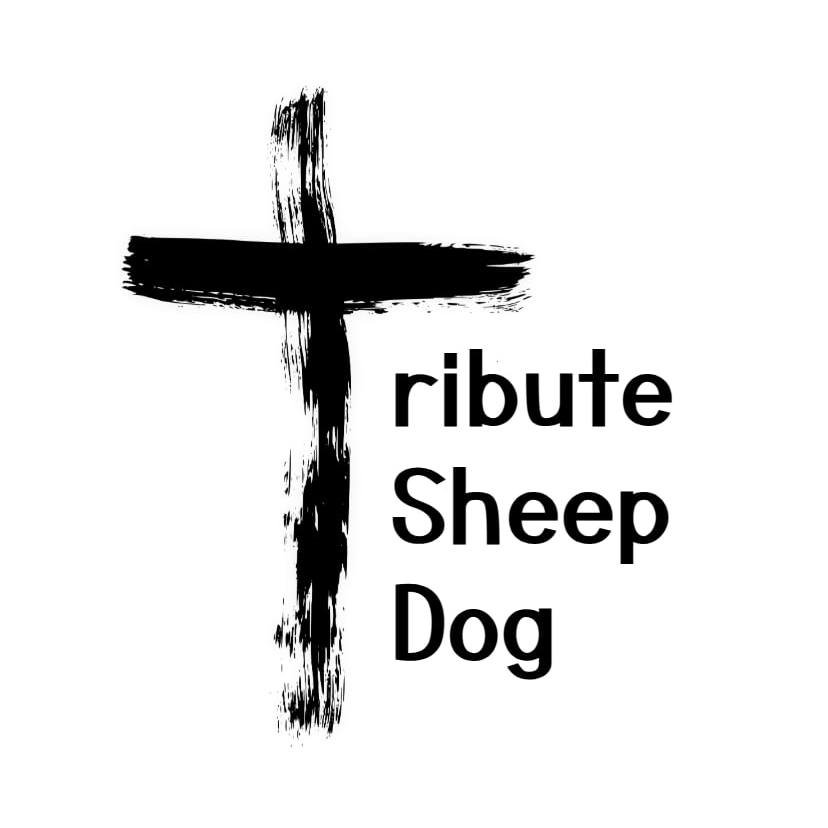 Dogs, the Bible &amp; Following Jesus