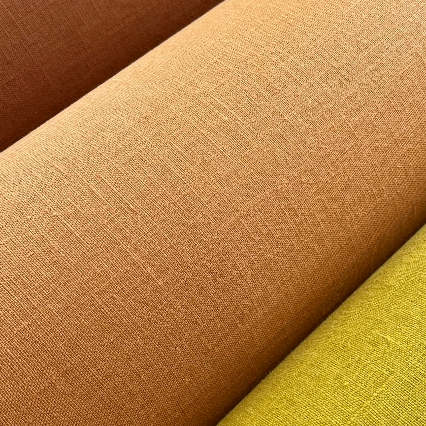Cinnamon%2C+Seville+saffron+rocket+shades.png