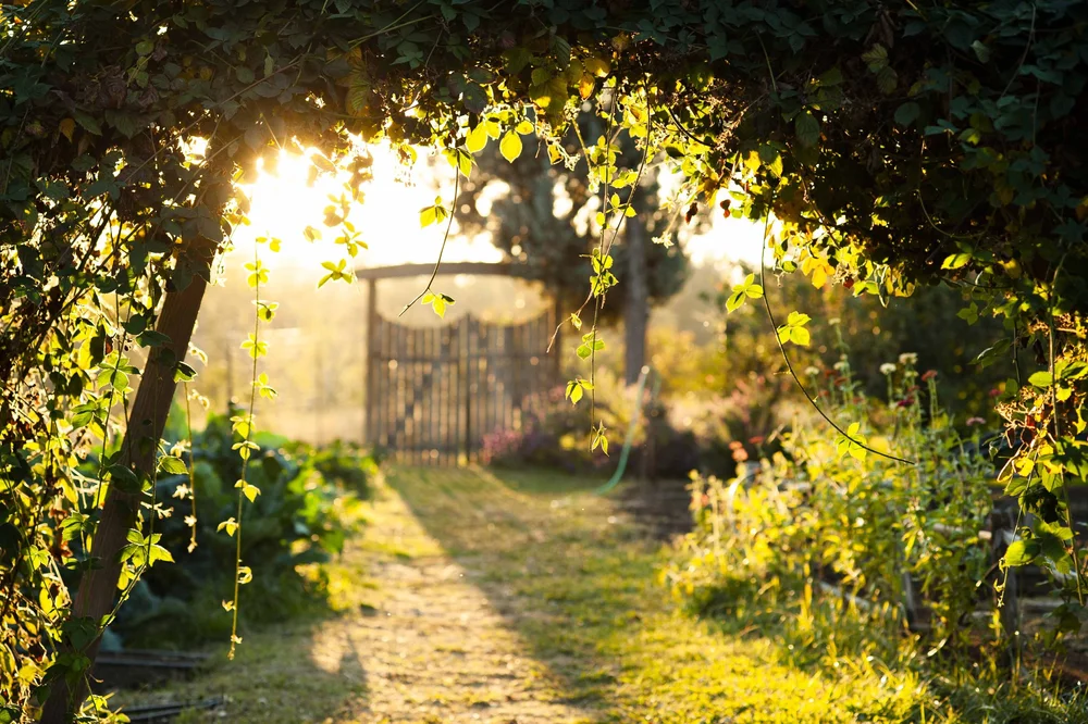 Sacramento Waldorf School