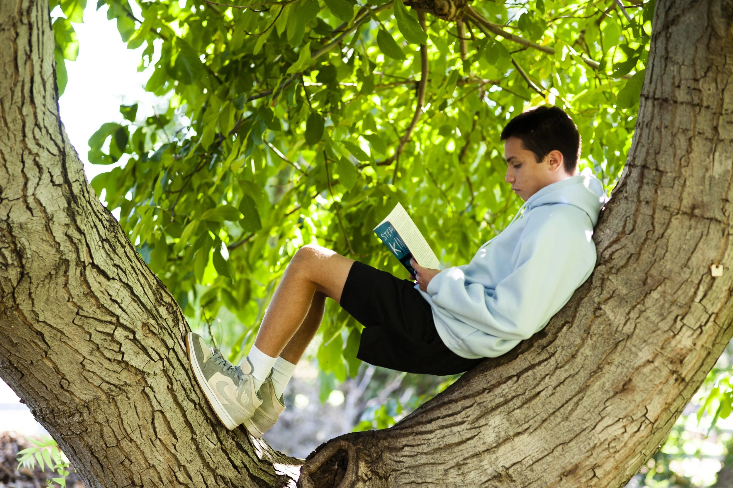 Sacramento Waldorf School