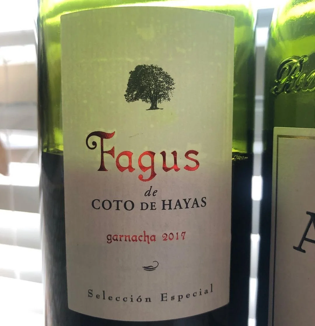 Fagus de Coto de Hayas Selección Especial 2017 - DO campo de Borja, Aragon, Spain.