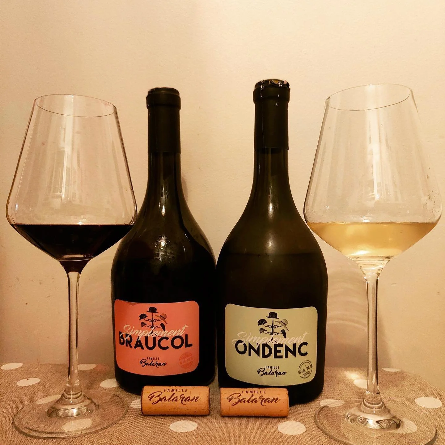 Two delicious wines from southwestern France, IGP Côtes du Tarn.