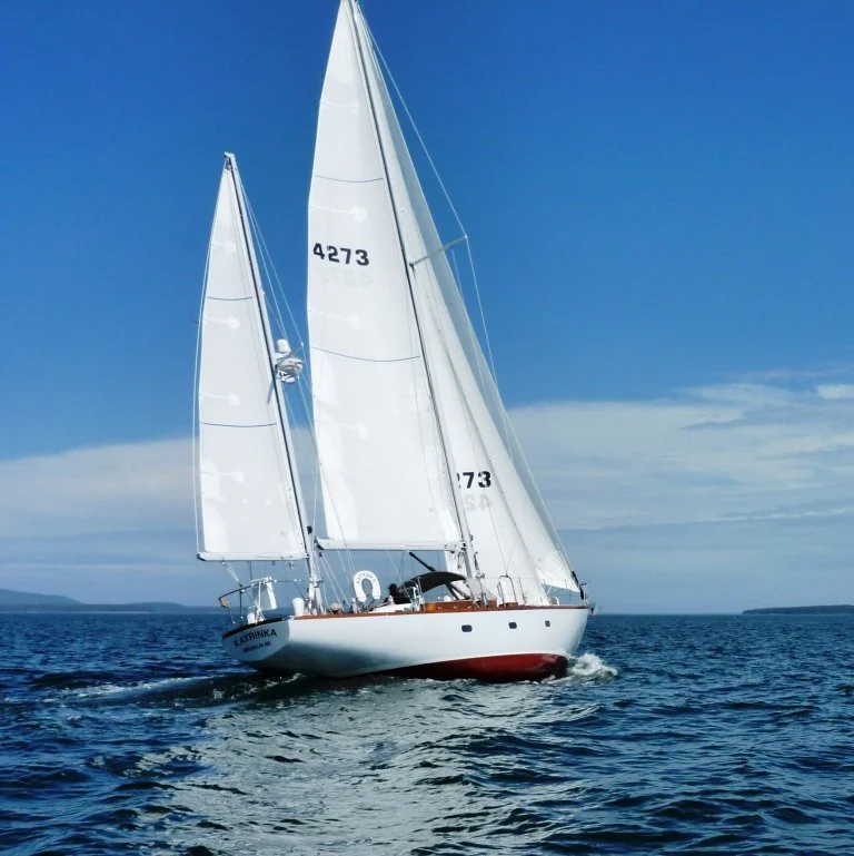 P1000147.JPG