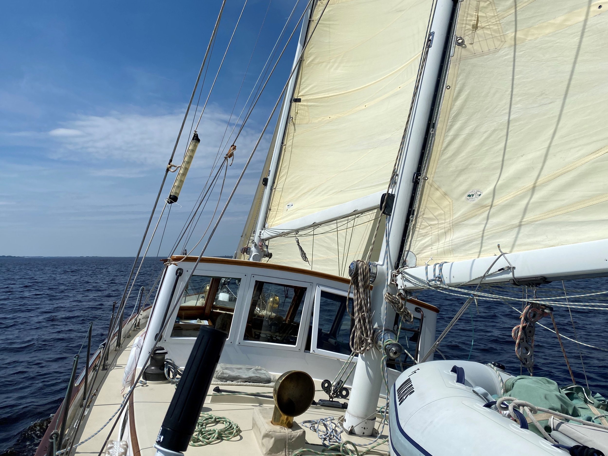 Walrus Exterior 5.jpg