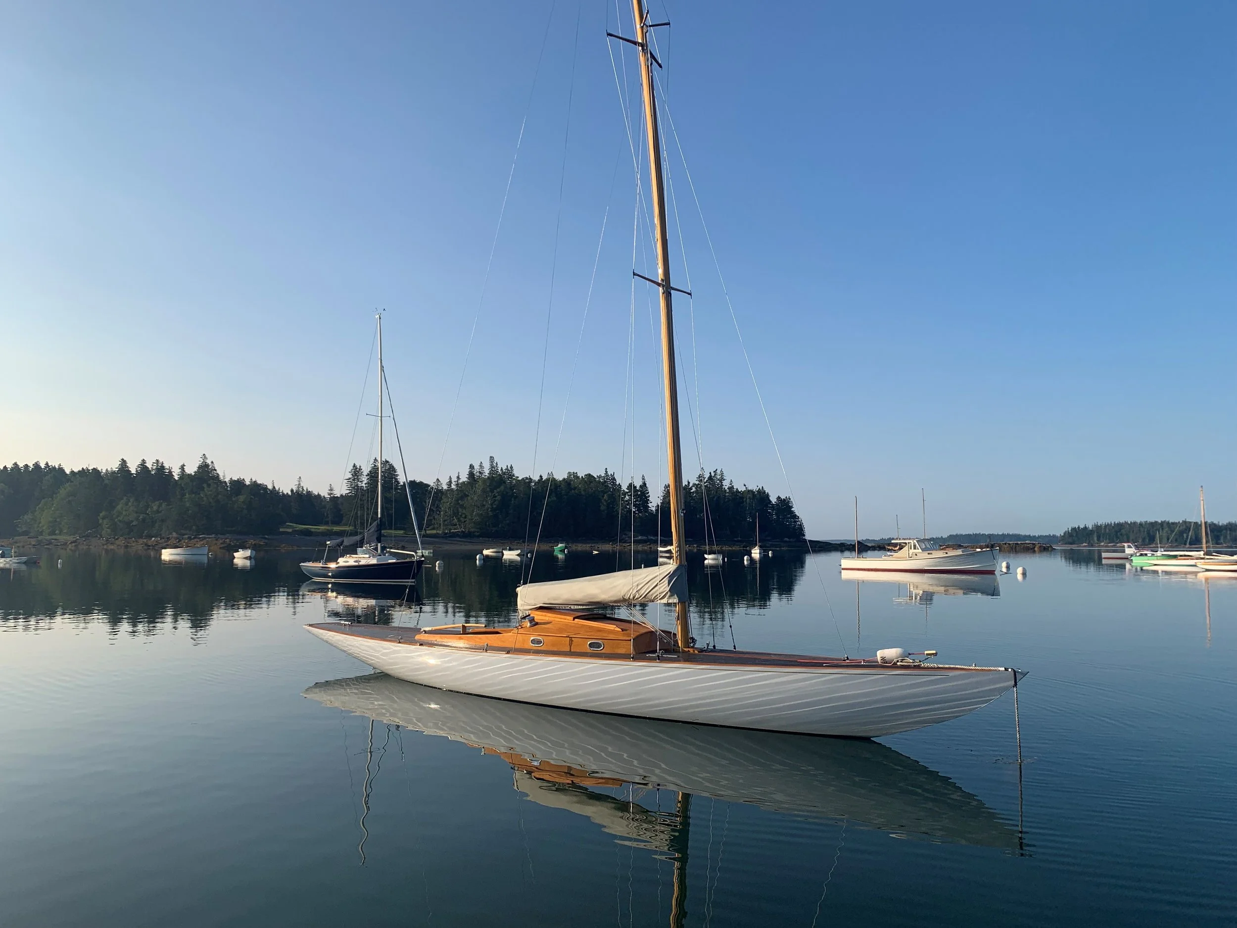 Vixen Exterior 3.jpg