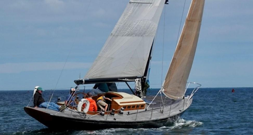 Zebra under sail.png