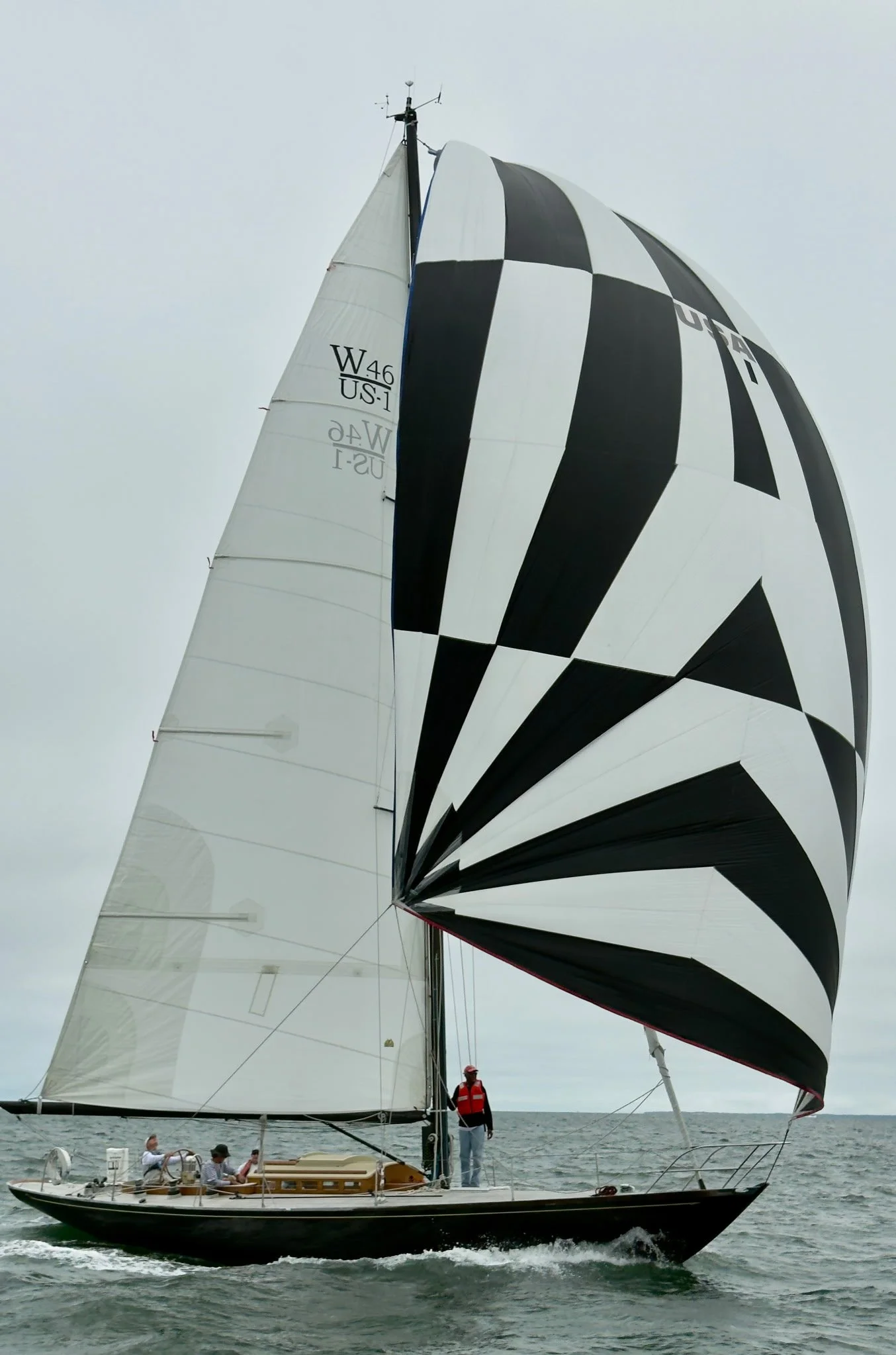 Zebra spinnaker1.JPG