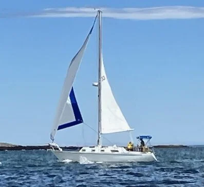 Potpourri exterior 3.jpg