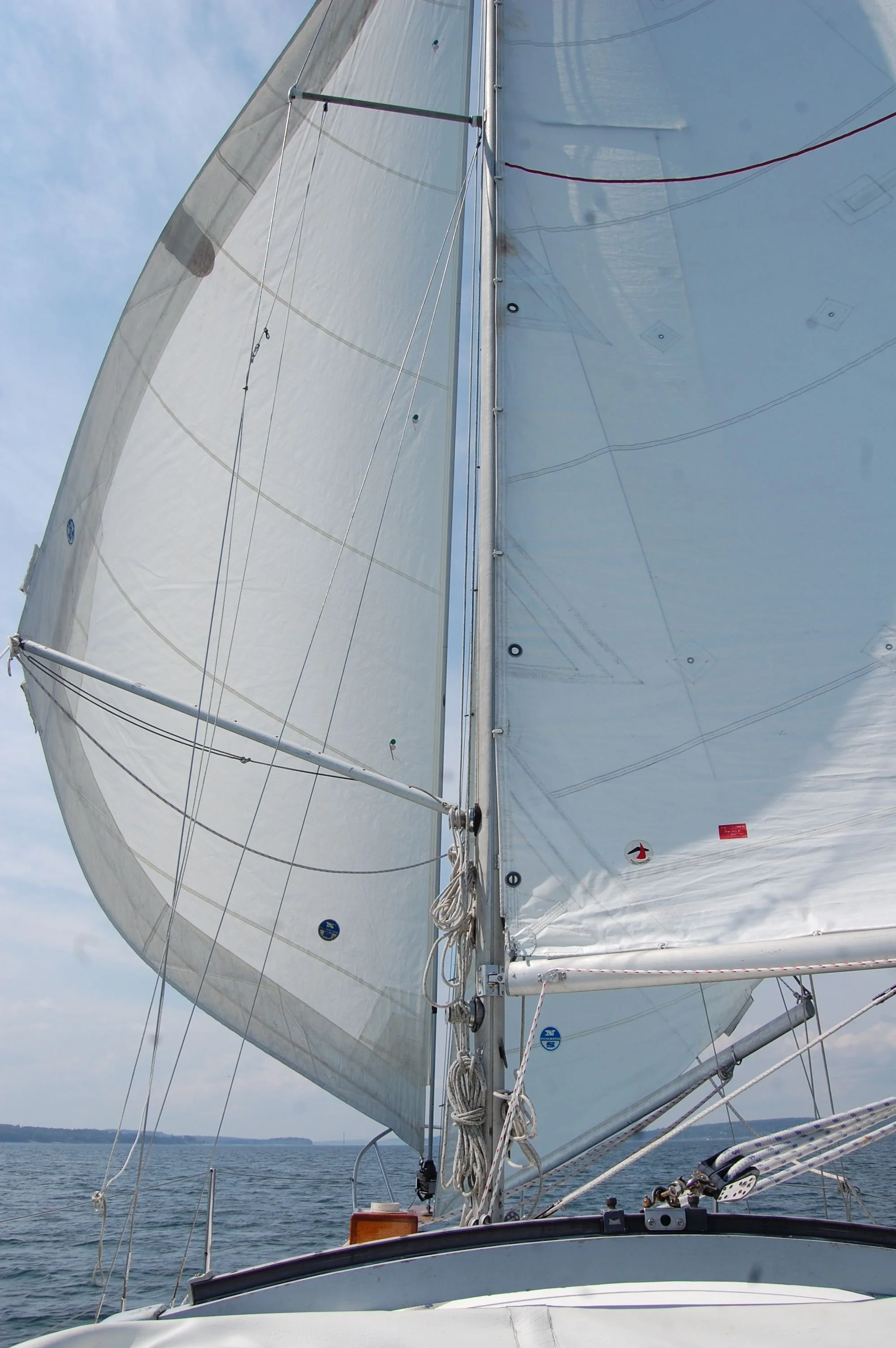 Emma_undersail.jpeg
