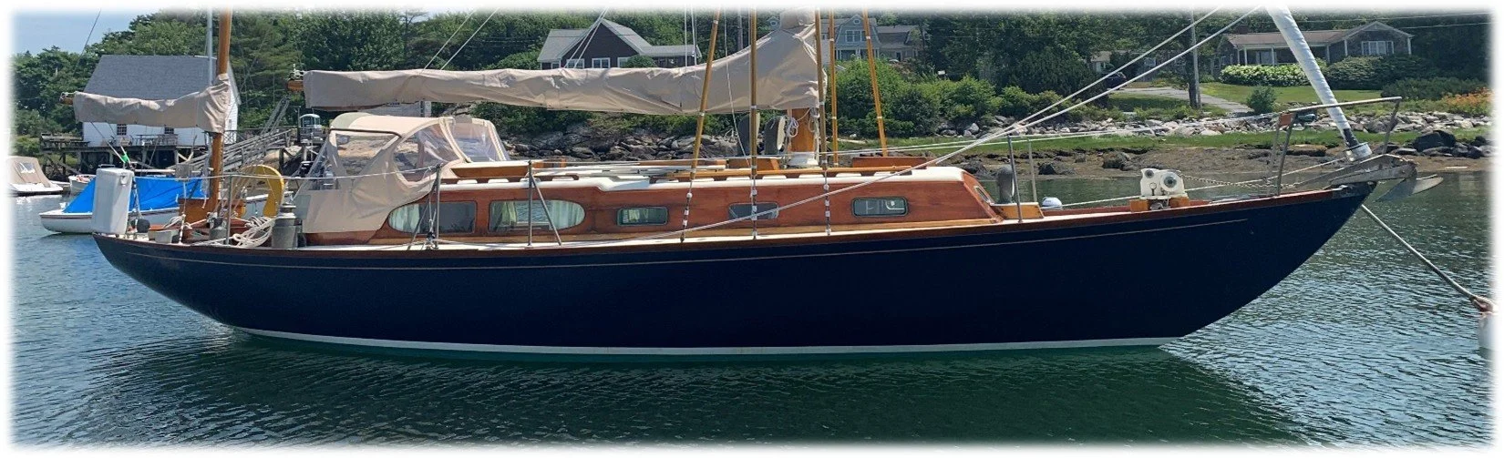 Muskrat_side shot 2.jpg