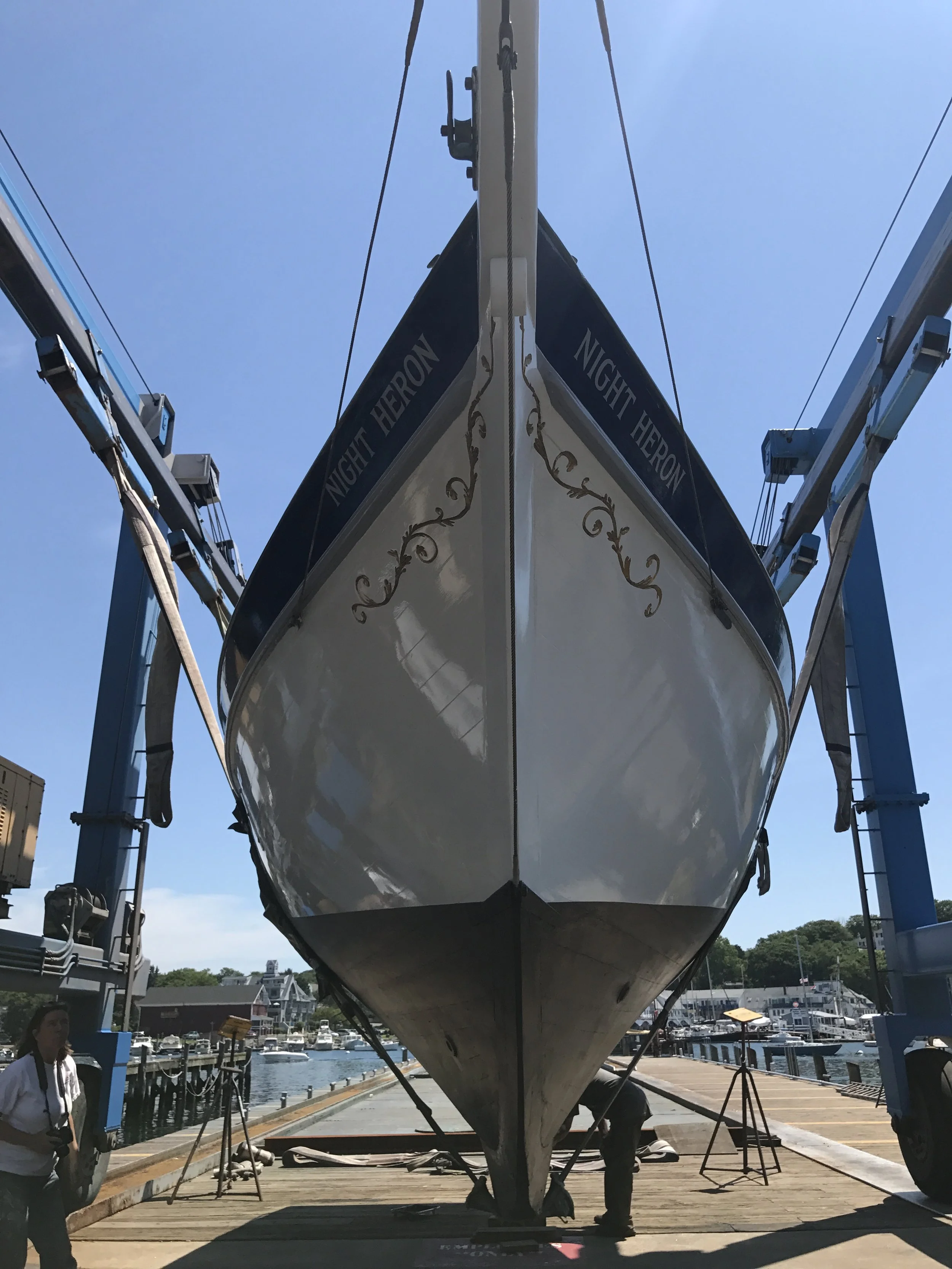 Night Heron_hauled3.JPG