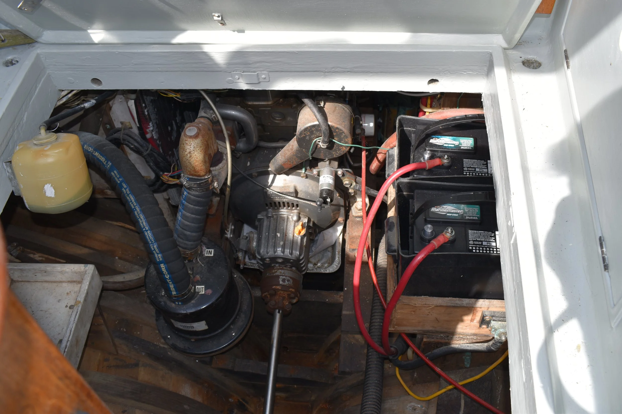 Night Heron_engine2_.JPG