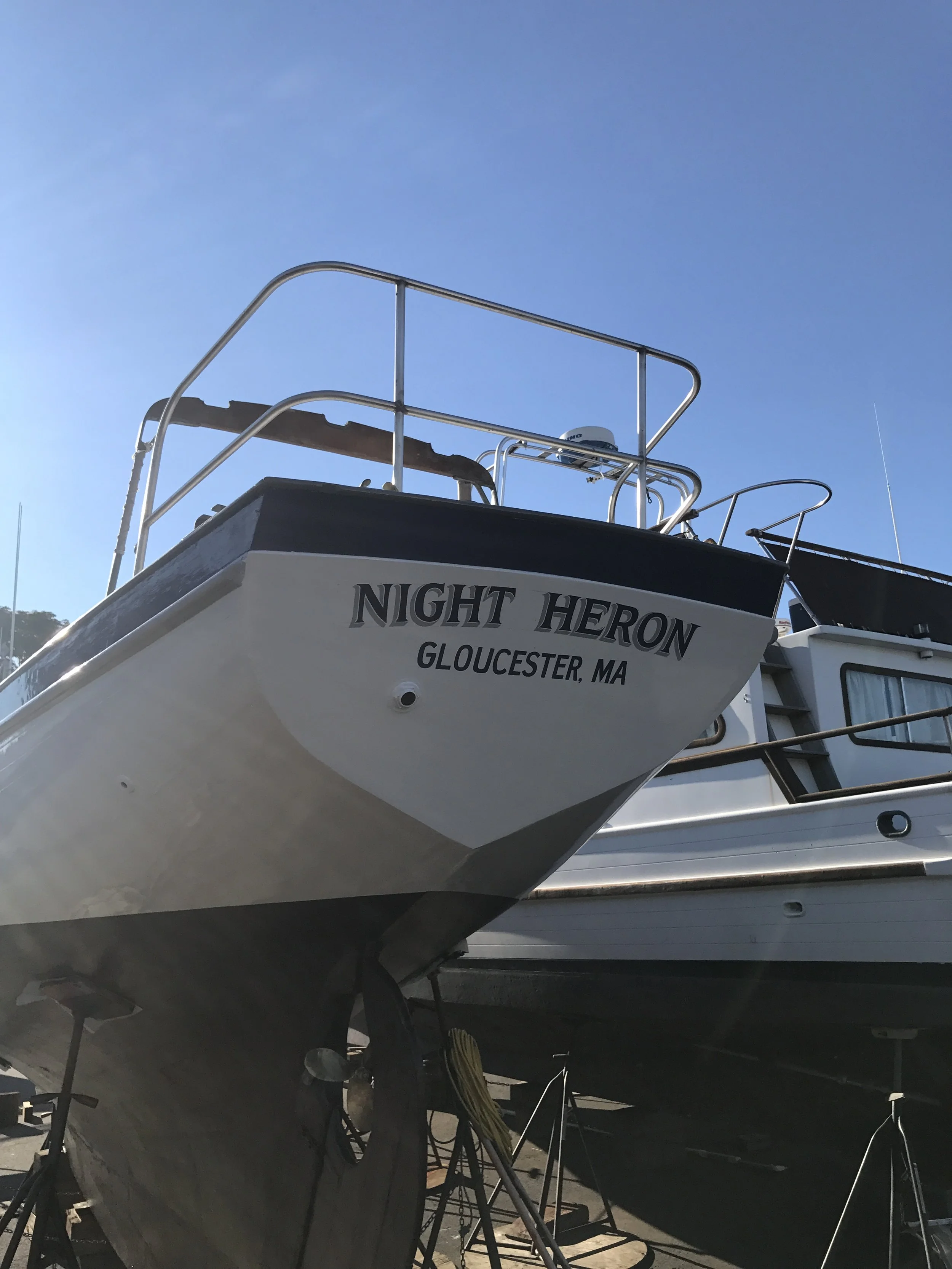 Night Heron_transom.JPG