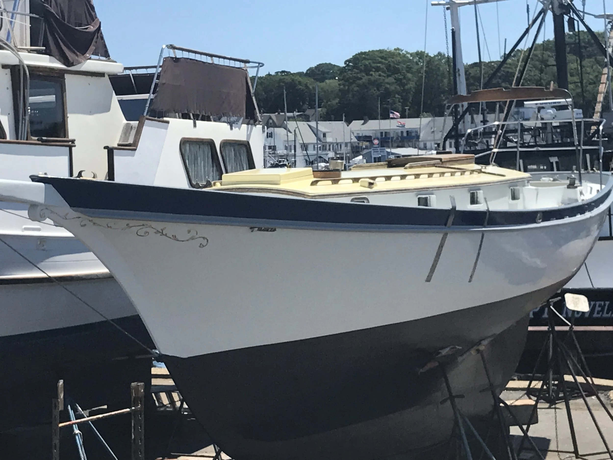 Night Heron_hauled .JPG