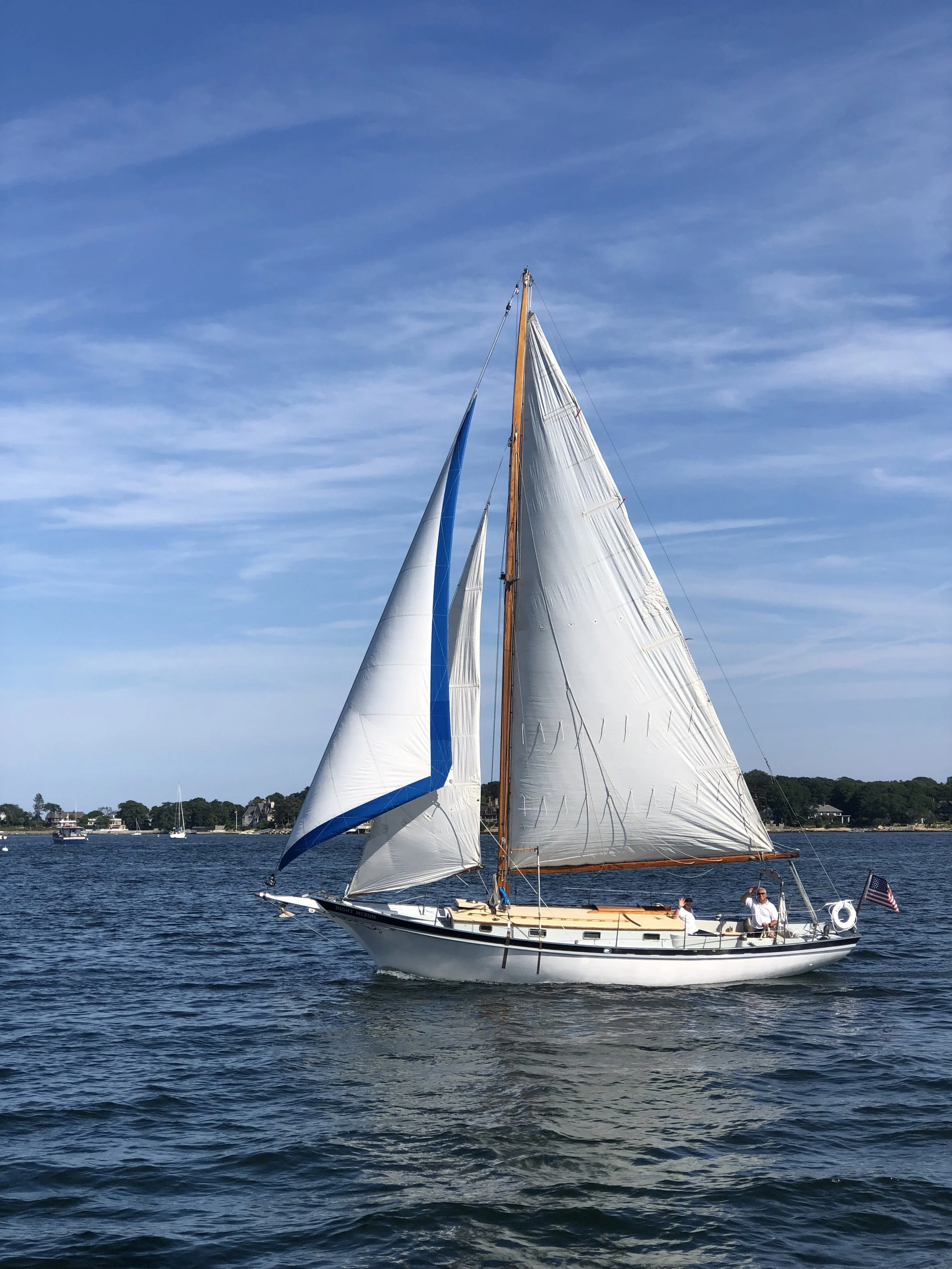 Night Heron_sail.JPG