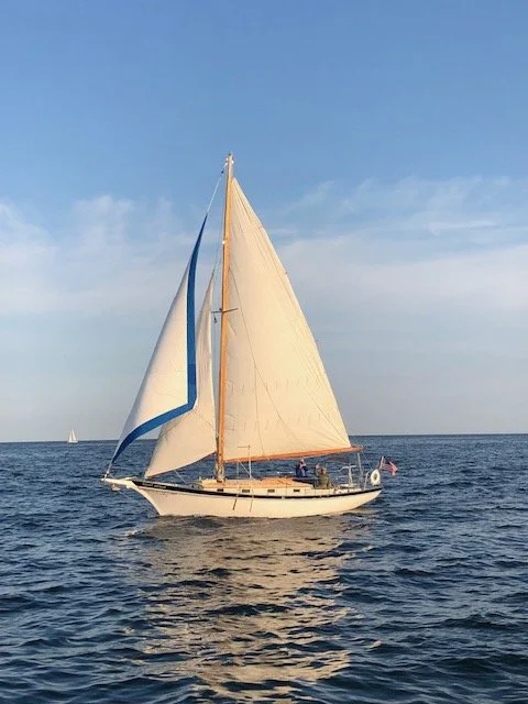 Night Heron_sail2.JPG