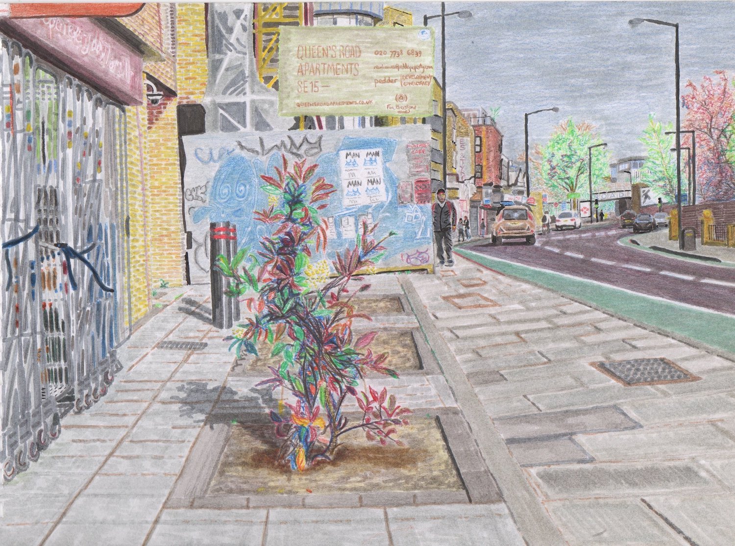 Queens Road Shrub (2019)