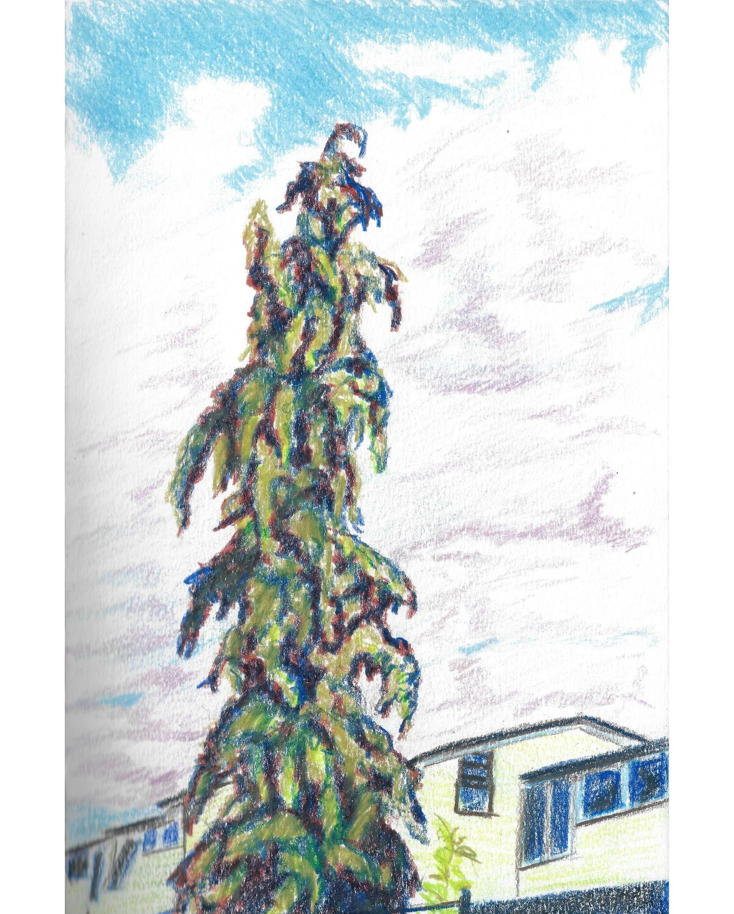 I've found myself looking a lot a tree tops recently.

There's something going on up there in between the sky and the expressive branches....such as this despondent evergreen I've sketched.

#treetop #pencilsketch #pencildrawing #drawingmatters #natu