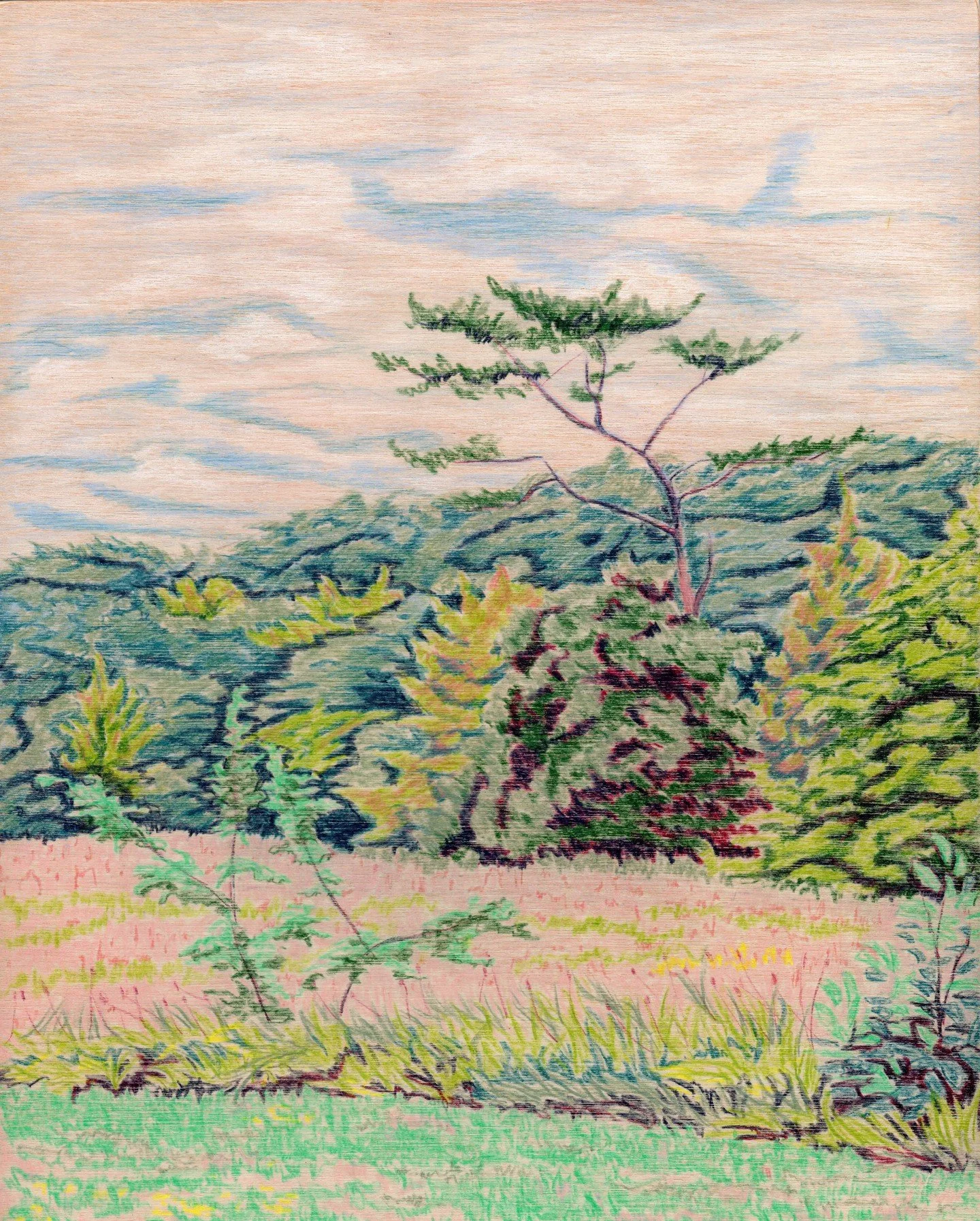 I've been interested in trying out pencil on different surfaces and my first stop is with a wood panel. 

I've tried to avoid having texture when using paper as I appreciated the graphic feel of heavily applied pencil across a smooth paper, but with 