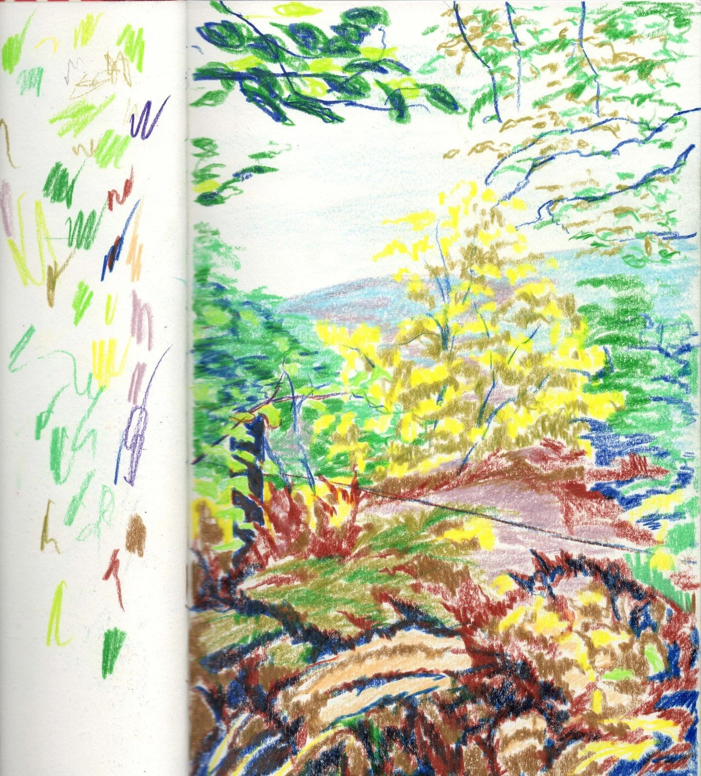 A Lake District sketch from last year. Trying out some new colours without being too precious about the detail.

#lakedistrict #pencilsketch #colourfulart #colourpencil #sketchbook #drawingmatters #lakedistrictart