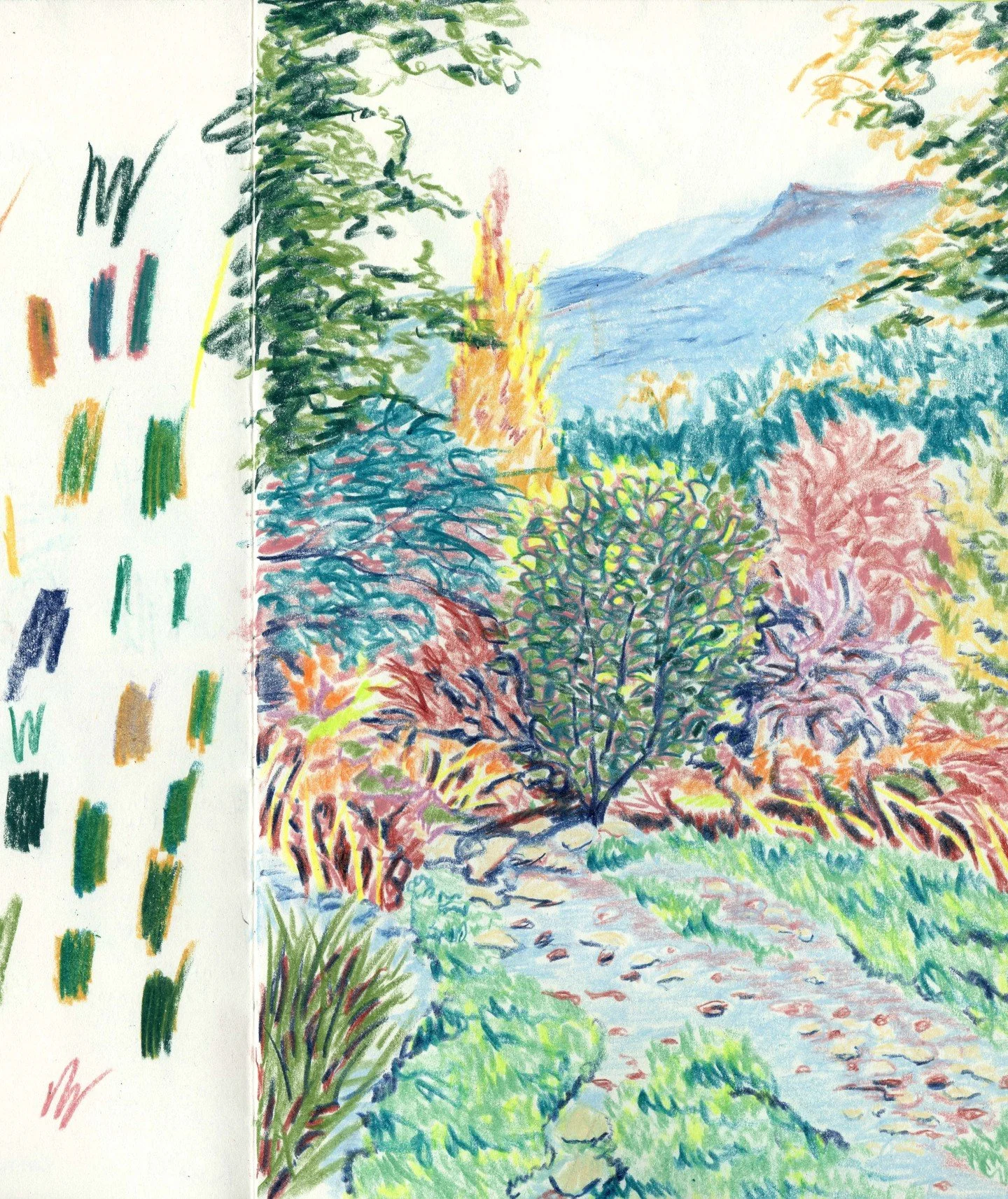 One more sketch from the Lake District. This time a bit of a medley of vegetation, colours and marks. 

#lakedistrict #pencilsketch #colourfulart #colourpencil #sketchbook #drawingmatters #lakedistrictart