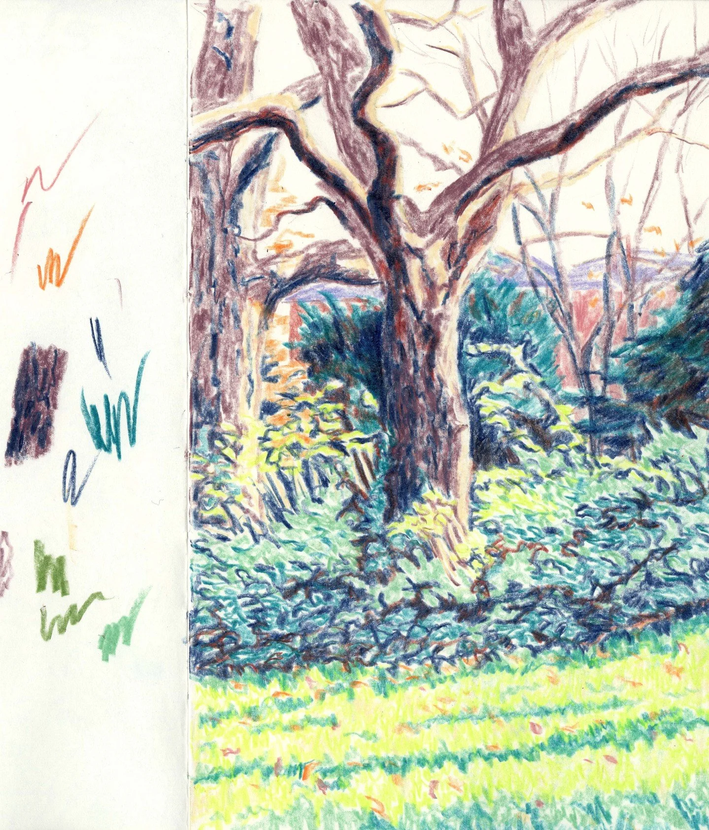 Something a bit closer to home, my local park. Trying to capture the sharp winters light across the scene, but with a soft pencil edge.

#lakedistrict #pencilsketch #colourfulart #colourpencil #sketchbook #drawingmatters #lakedistrictart