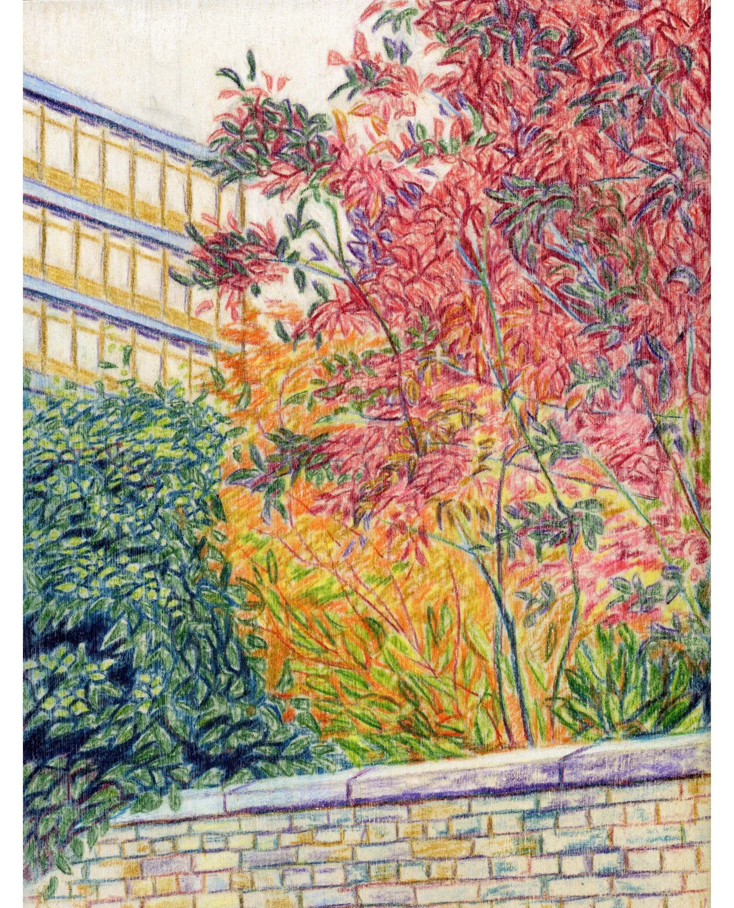 Another colour pencil on wood panel artwork. This is a collection of bushes behind a wall next to a busy road.

Trying to capture the beauty of the things on the fringes.

#colourfulart #drawingmatters #naturalart #mundaneart #urbannature #urbanart #