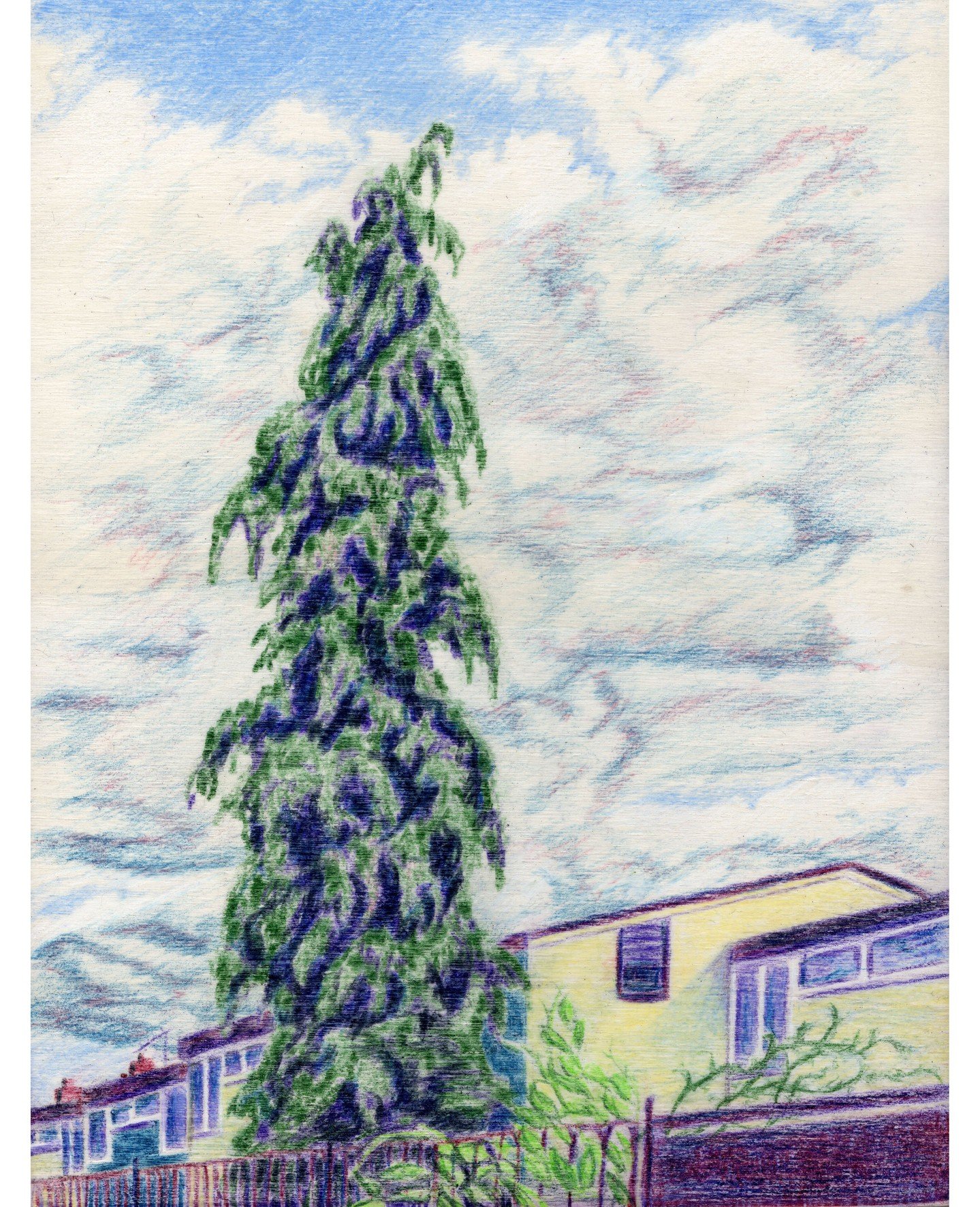 A return to a previous subject, but this time on a panel, a tall and thin evergreen at the back of someones garden. 

I can feel the weight of this tree rooted here, stood off to one side with a slight lean. It has a personality.

#naturalart #colour