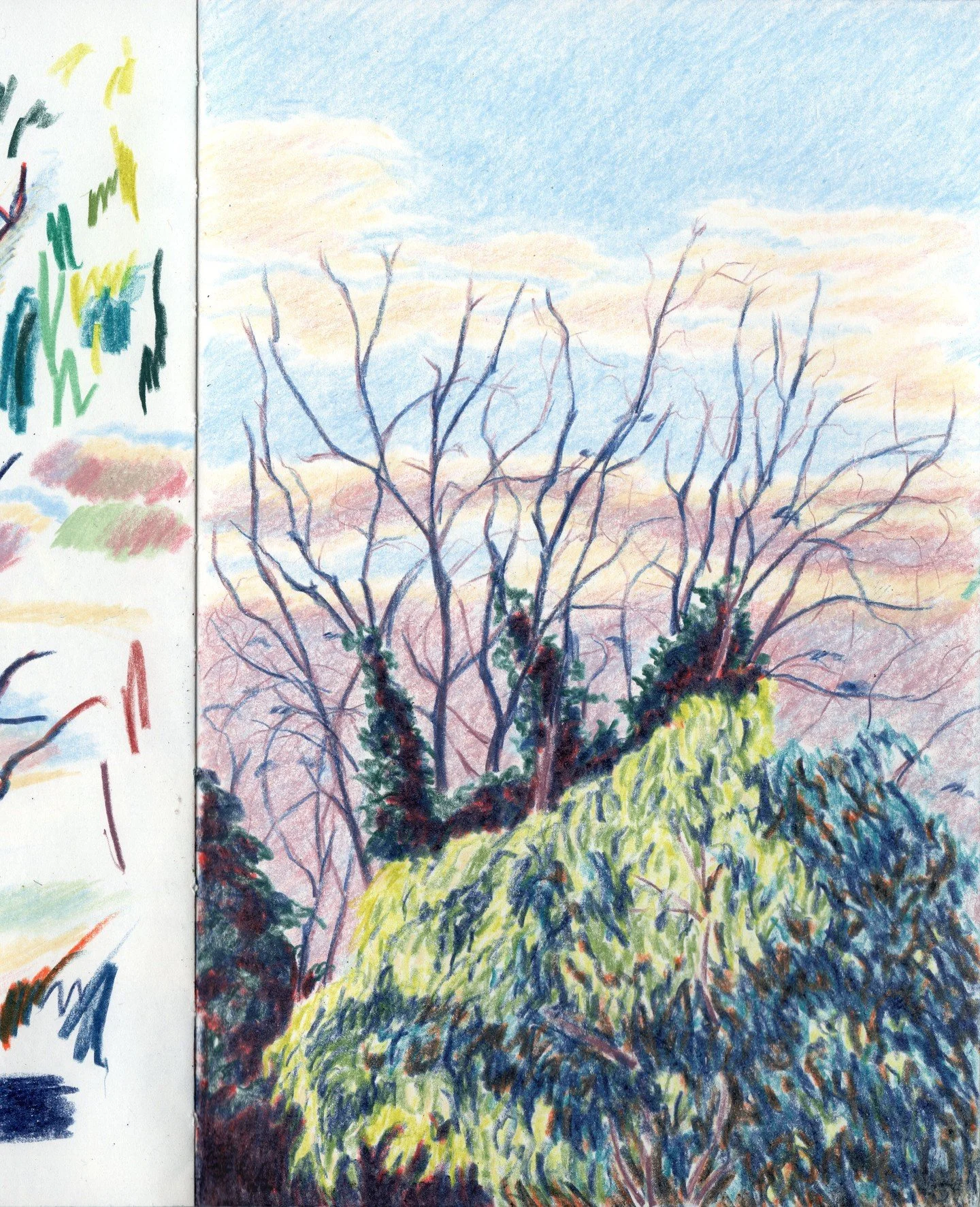 A couple of tree tops. A view from my bed.

#colourpencil #sketchbook #pencilsketch