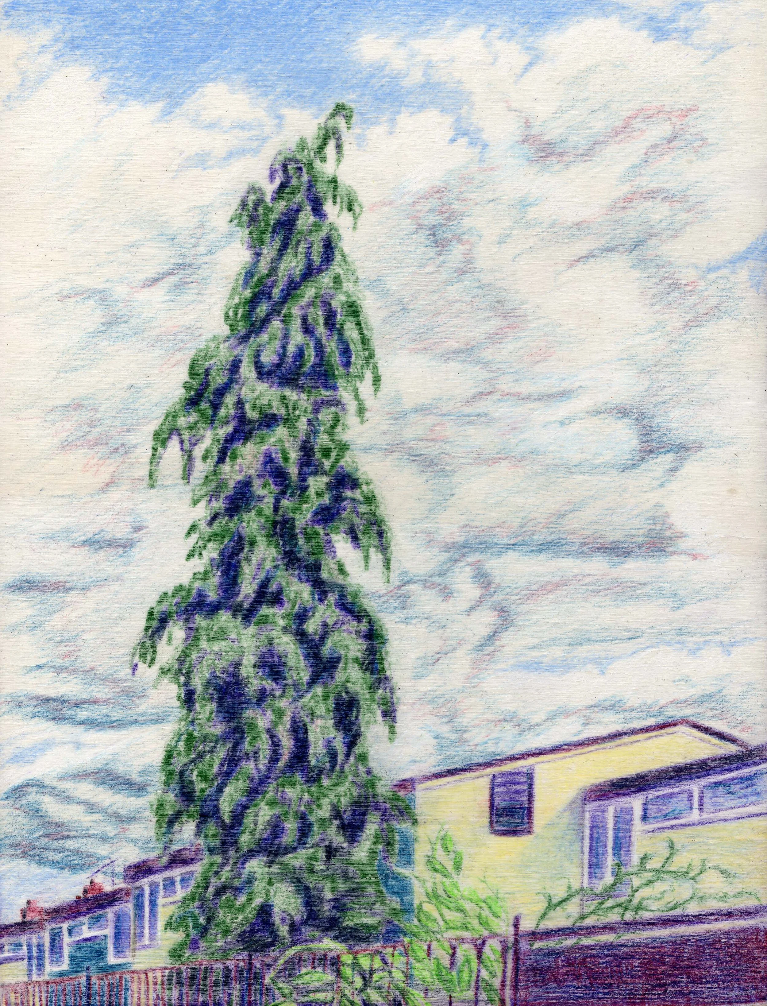Panel 6 (2026)