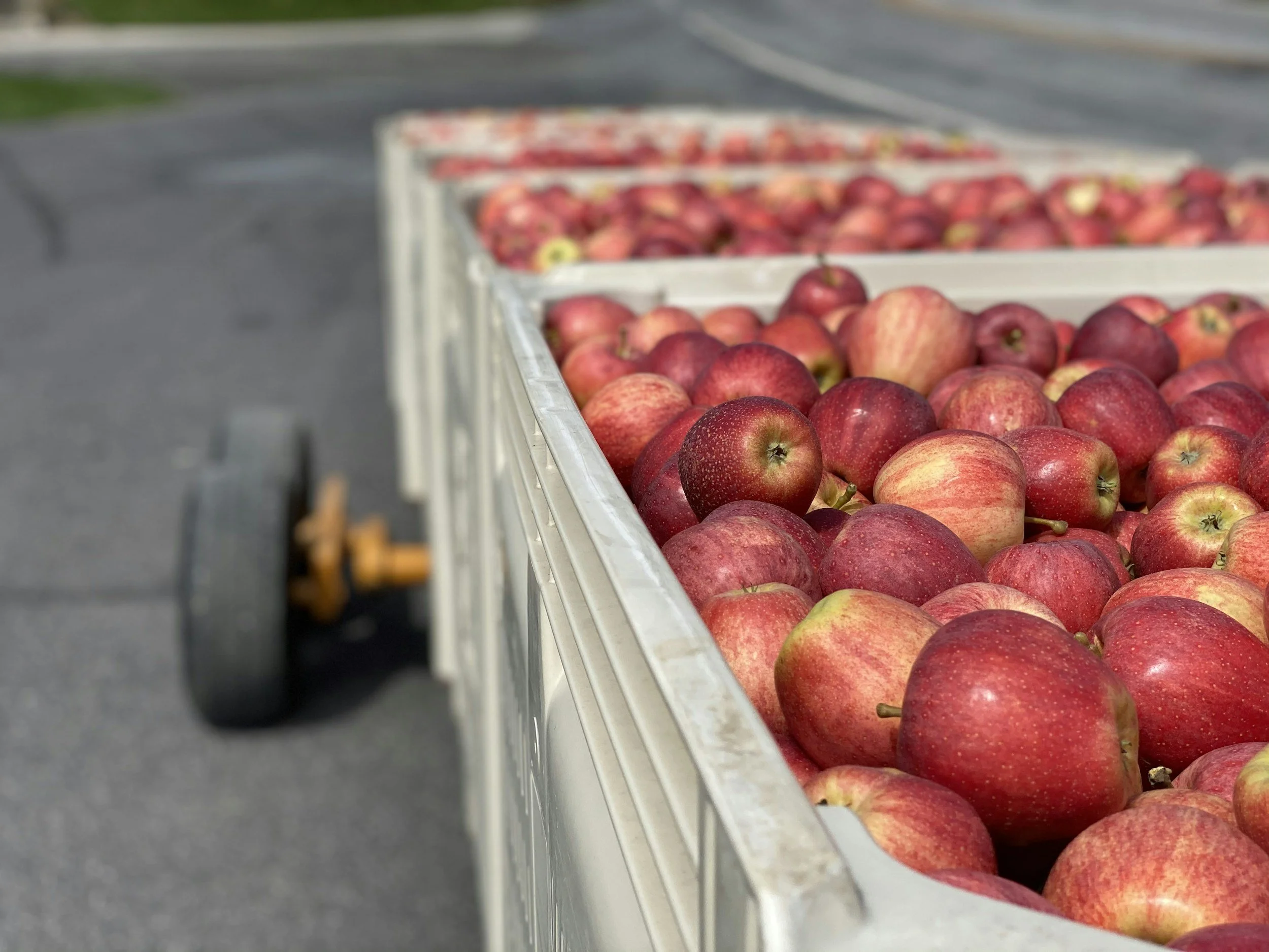 Upsetting the Apple Cart: The Power of Bold Change