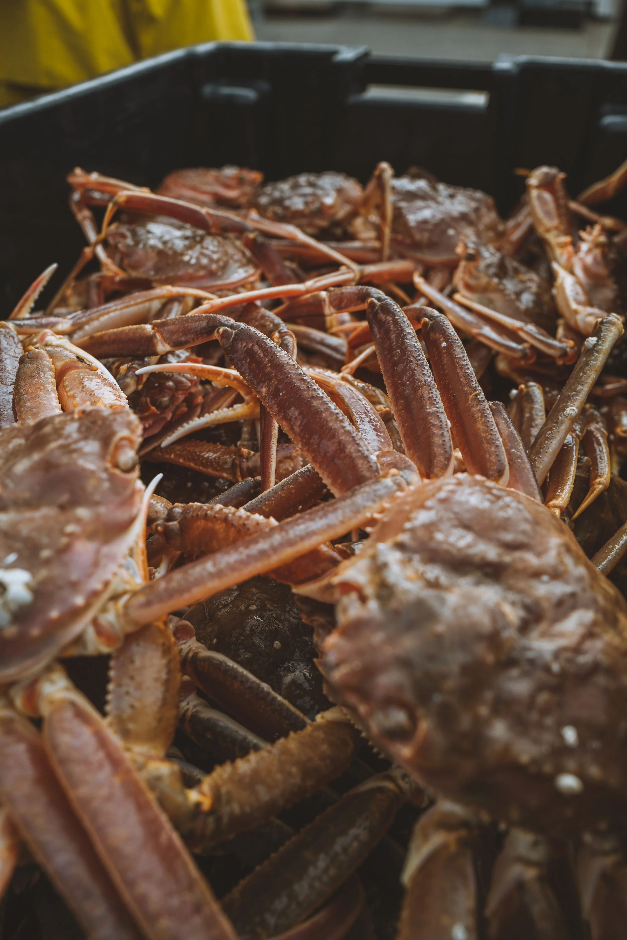 Deep Blues Seafood Festival