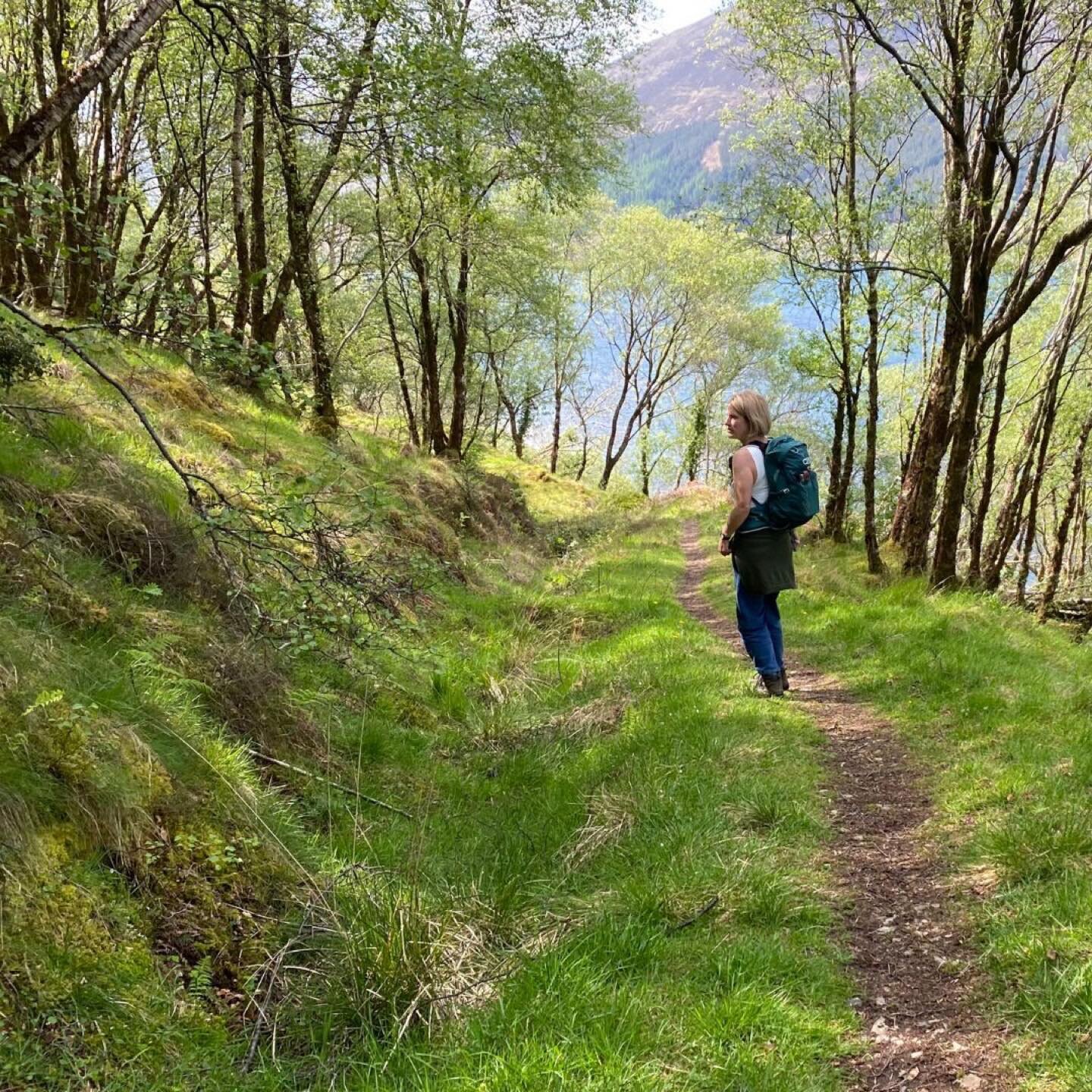 Ancient woodland at the end of the stunning Ardintoul Circuit walk which begins straight out of the door of Taigh Whin, following forestry paths up and then down to reach the little visited shores of Loch Alsh (a wonderful place to spot otters) befor
