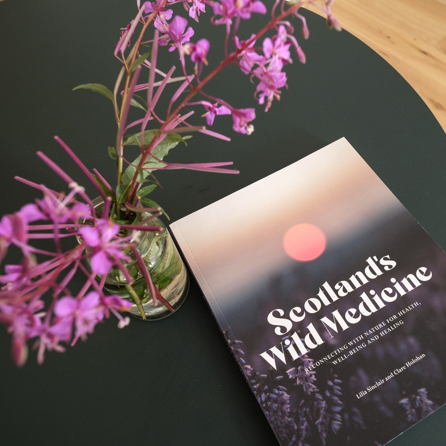 A gorgeous new addition to the Taigh Whin Bothy library. This deeply researched and stunningly beautiful book from @heal_scotland takes you through the plants you can forage, and recipes and medicines you can make in every month of the calendar year.