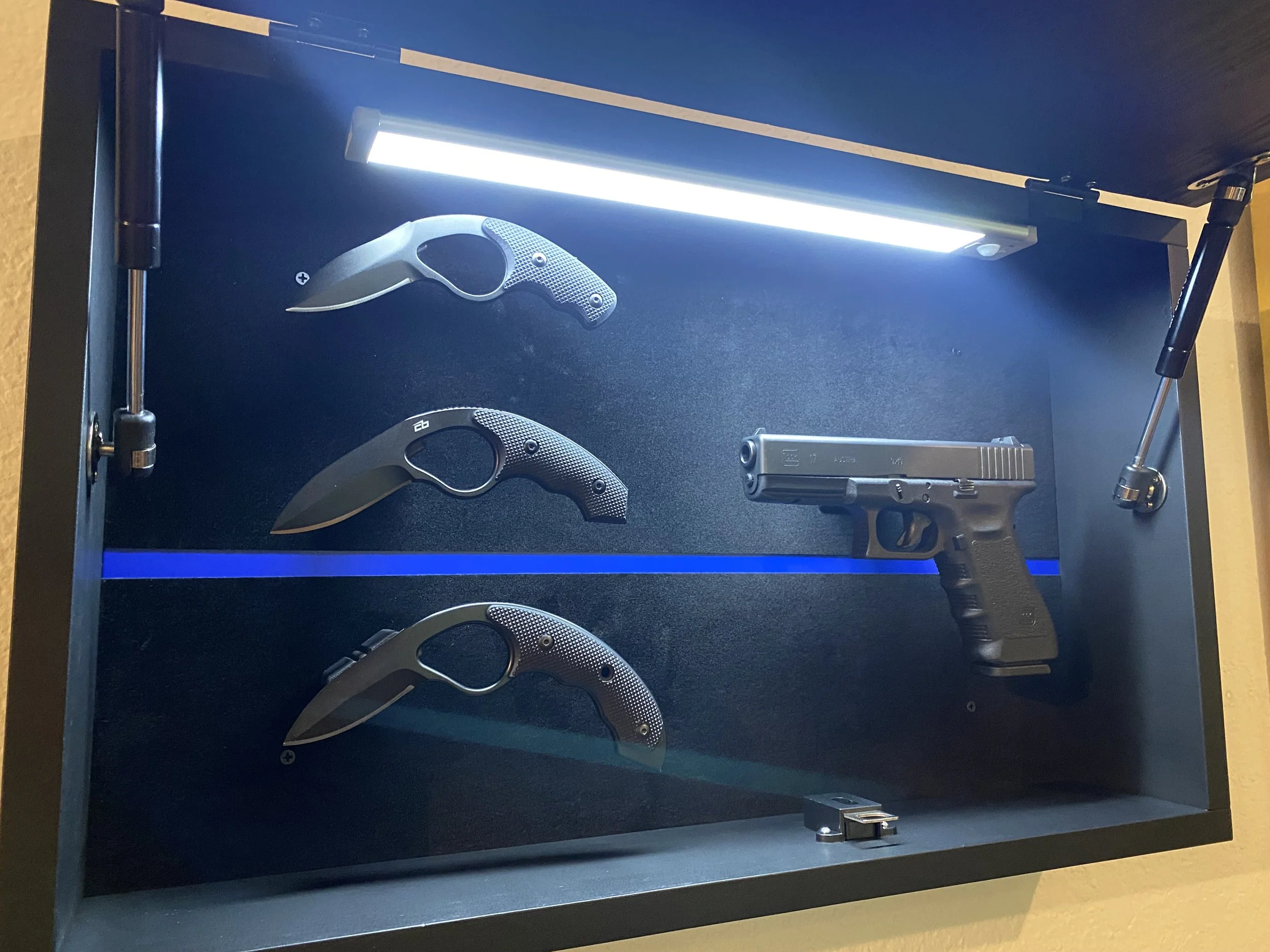 "Thin Blue Line" RFID Wall Cabinet