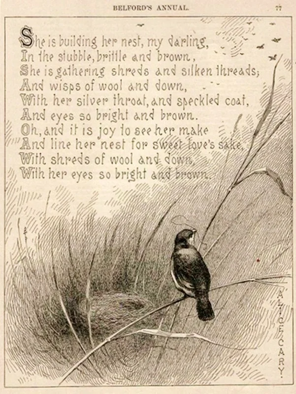 Birds Have Shit Figured Out