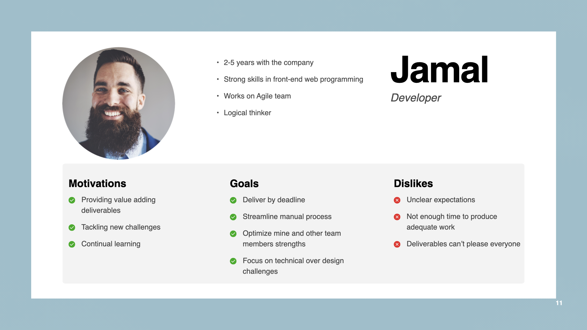Developer persona